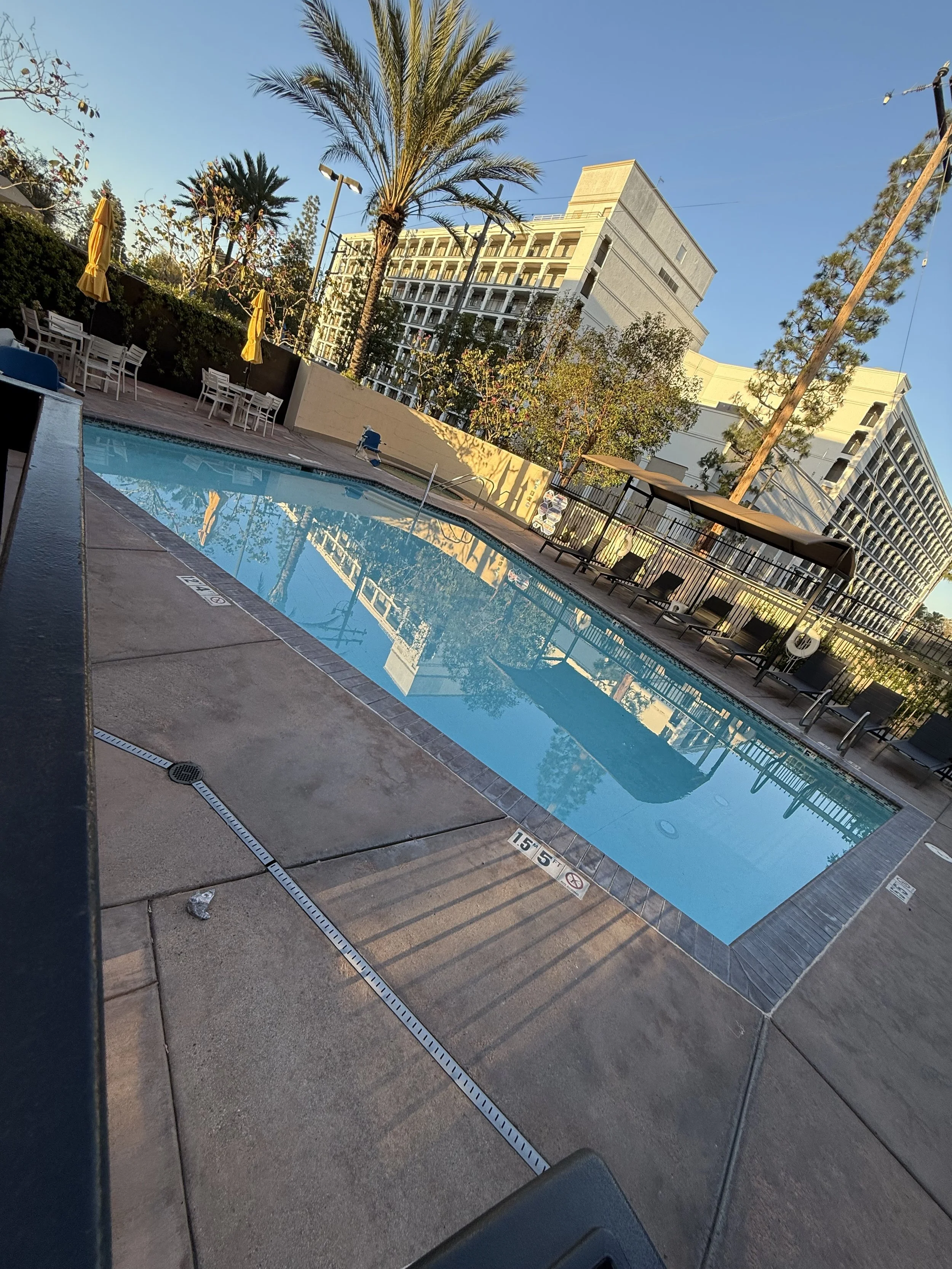 Empty outdoor hotel swimming pool with lounge chairs, umbrellas, and palm trees, surrounded by a fence, with hotel buildings and blue sky in the background.