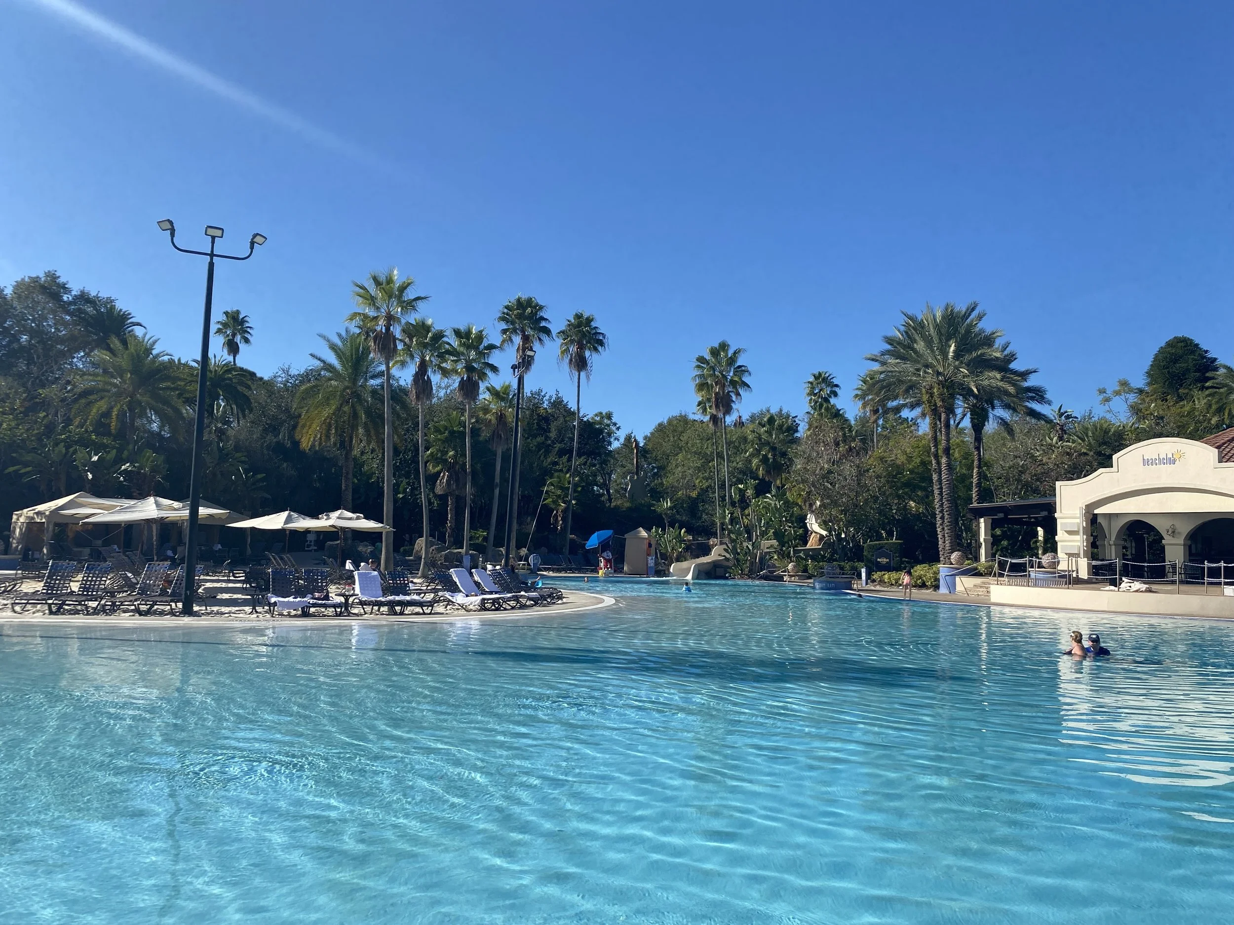 A resort pool area with clear blue water, surrounded by lounge chairs, umbrellas, tall palm trees, and a small building labeled 'beachclub' under a bright blue sky.
