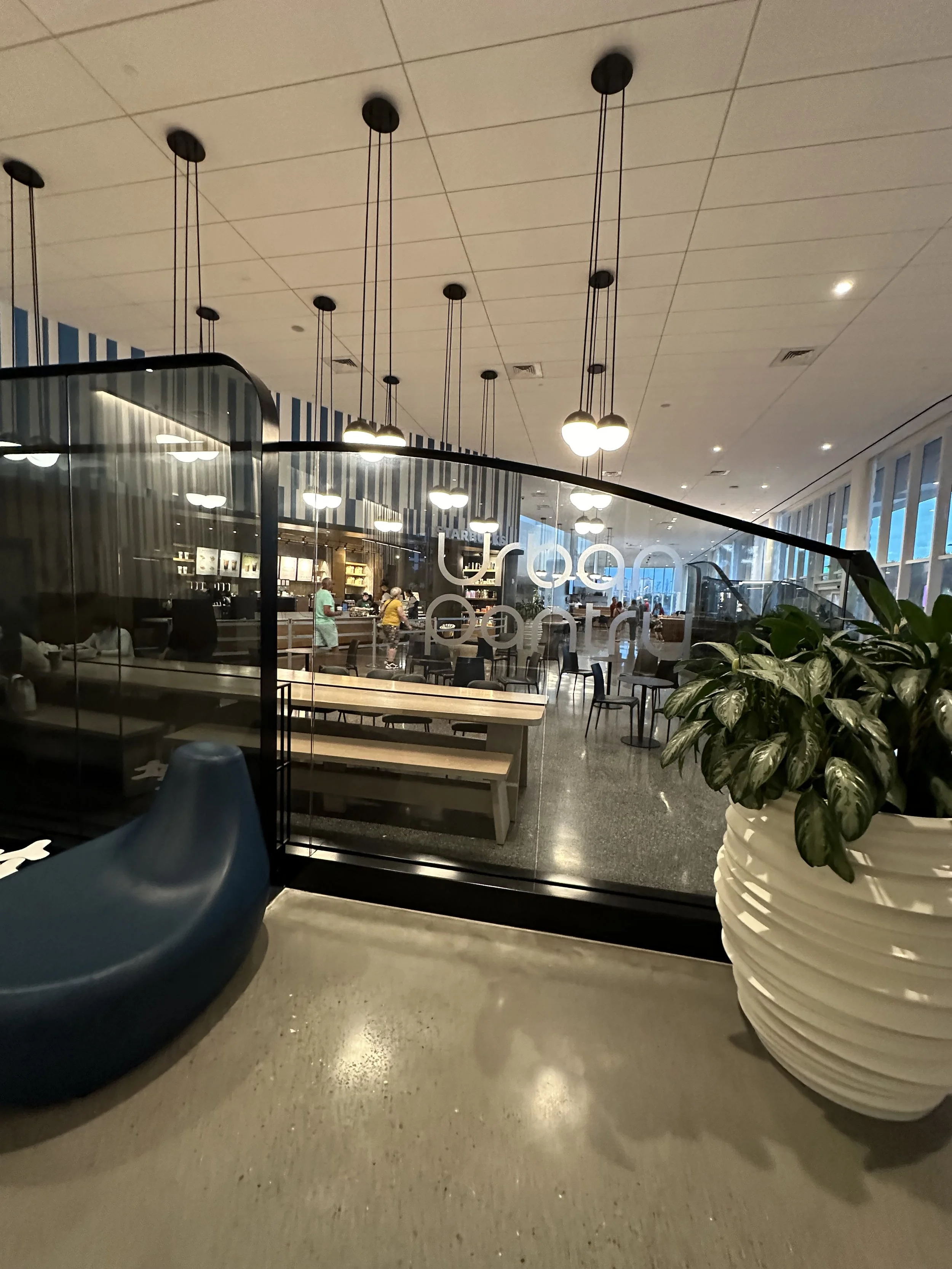 Interior of a modern restaurant with hanging lights, tables, chairs, and a glass partition, with a large potted plant in the foreground.