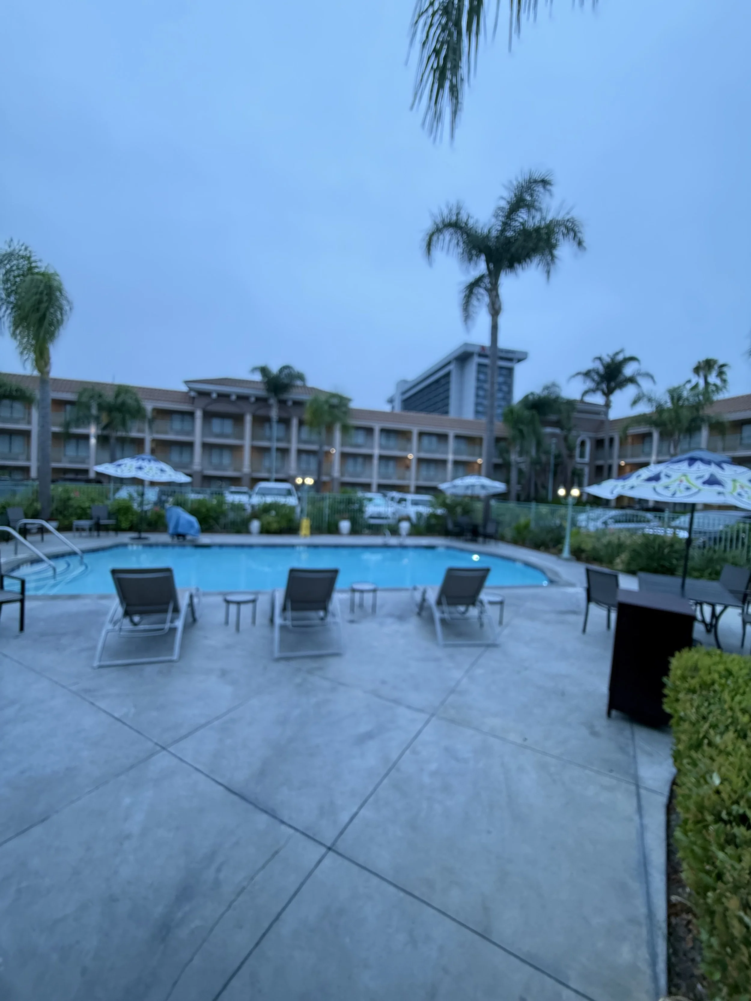 An outdoor hotel pool area surrounded by lounge chairs, umbrellas, palm trees, and a multi-story hotel building in the background during dusk.