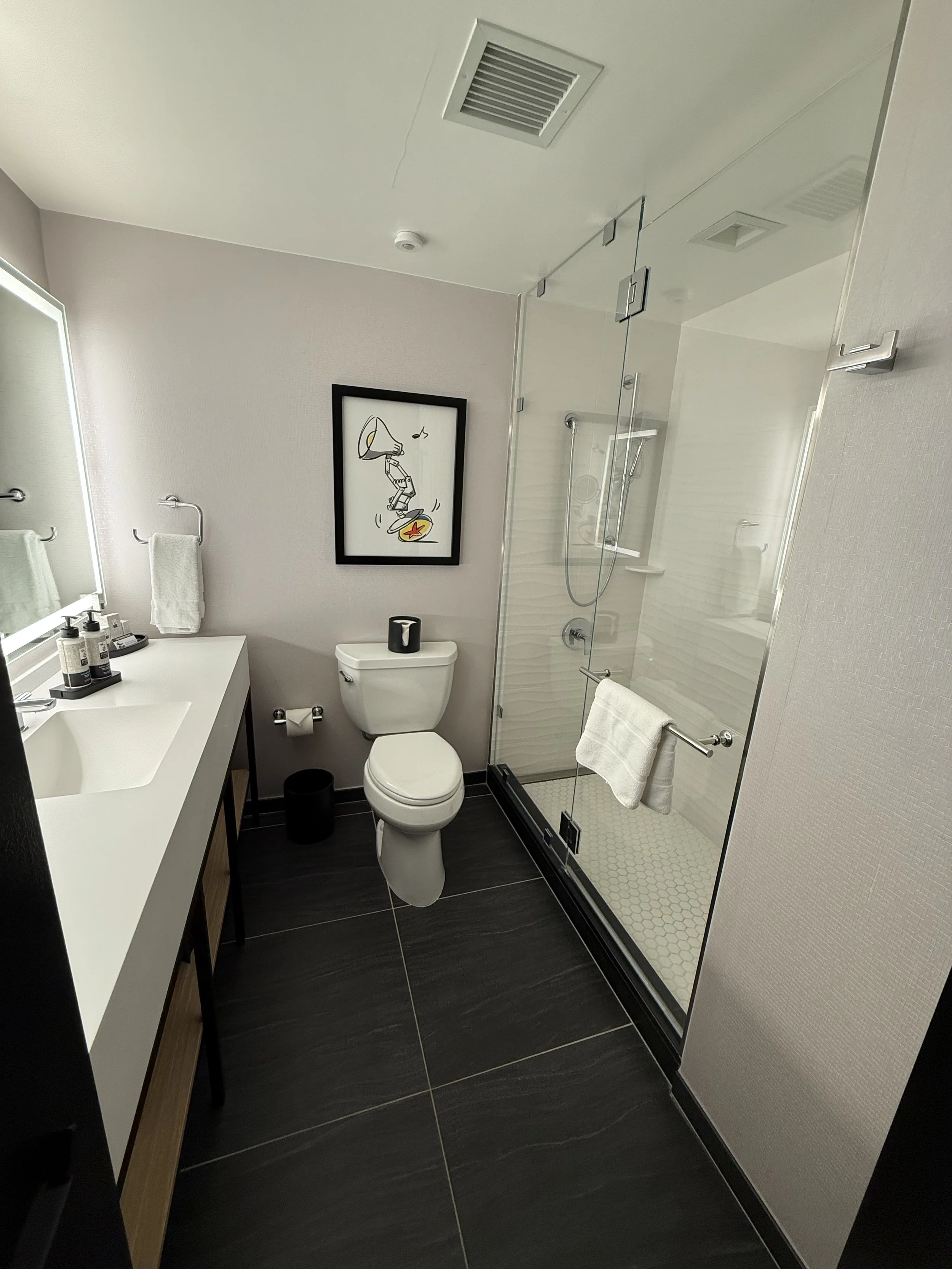 Modern bathroom with white walls, dark floor tiles, a glass shower stall, a white toilet, a sink with hand soap, and a framed art piece on the wall depicting a cartoon cat with a cat-shaped pizza.