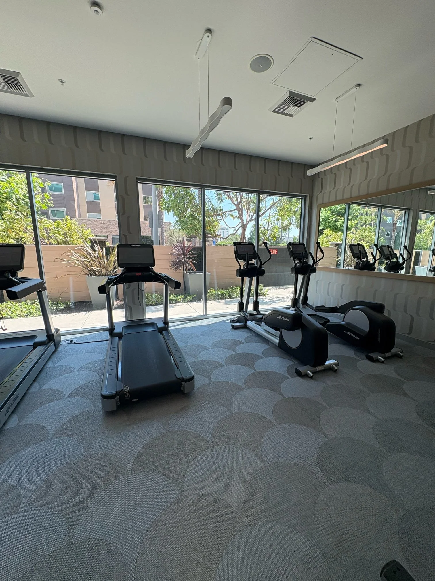 Empty gym with treadmills and elliptical machines near large windows showing trees and buildings outside.