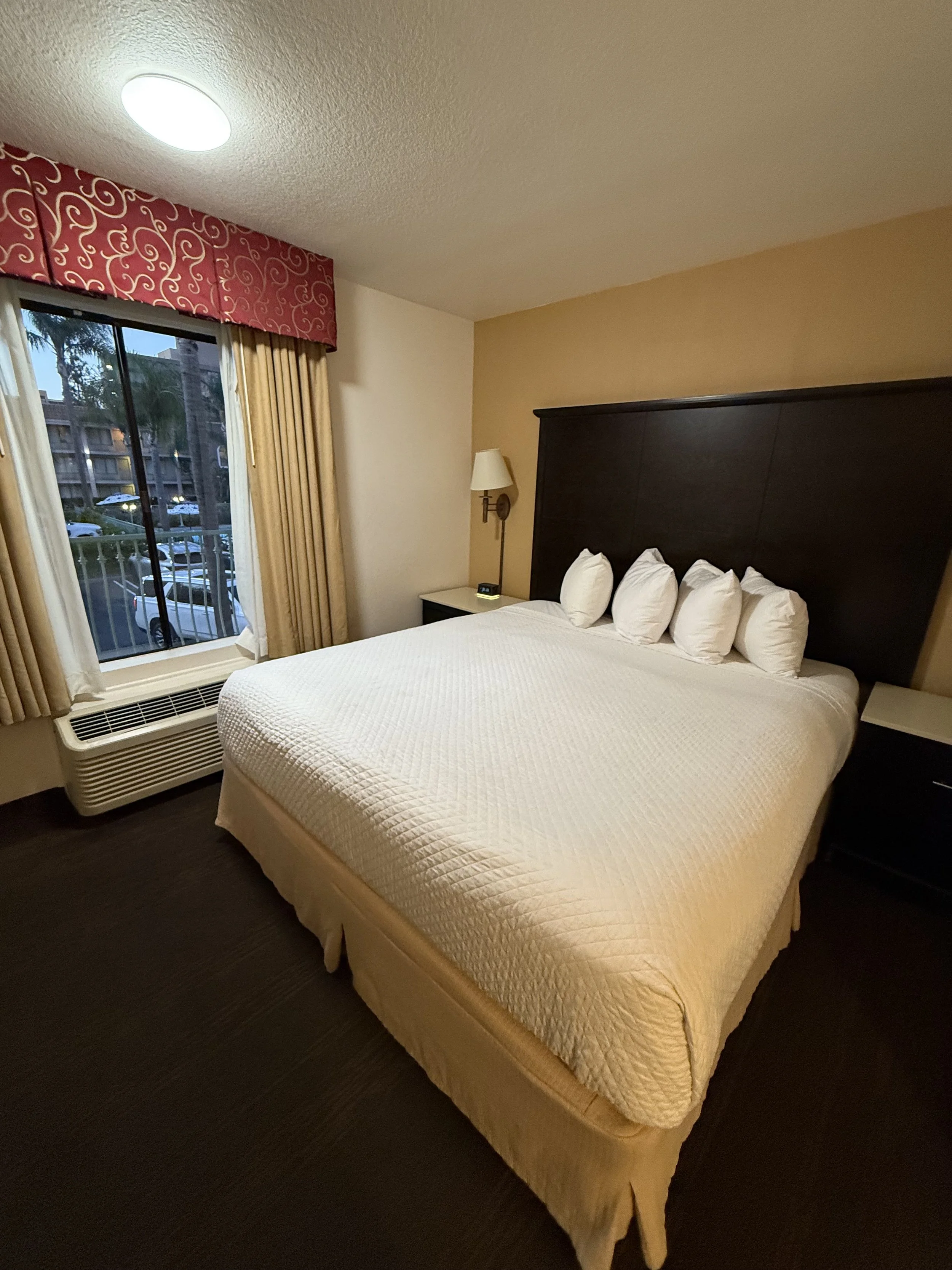 Hotel room with a large bed, white bedding, six pillows, dark headboard, nightstand with lamp, window with curtains, and a view of parked cars outside.