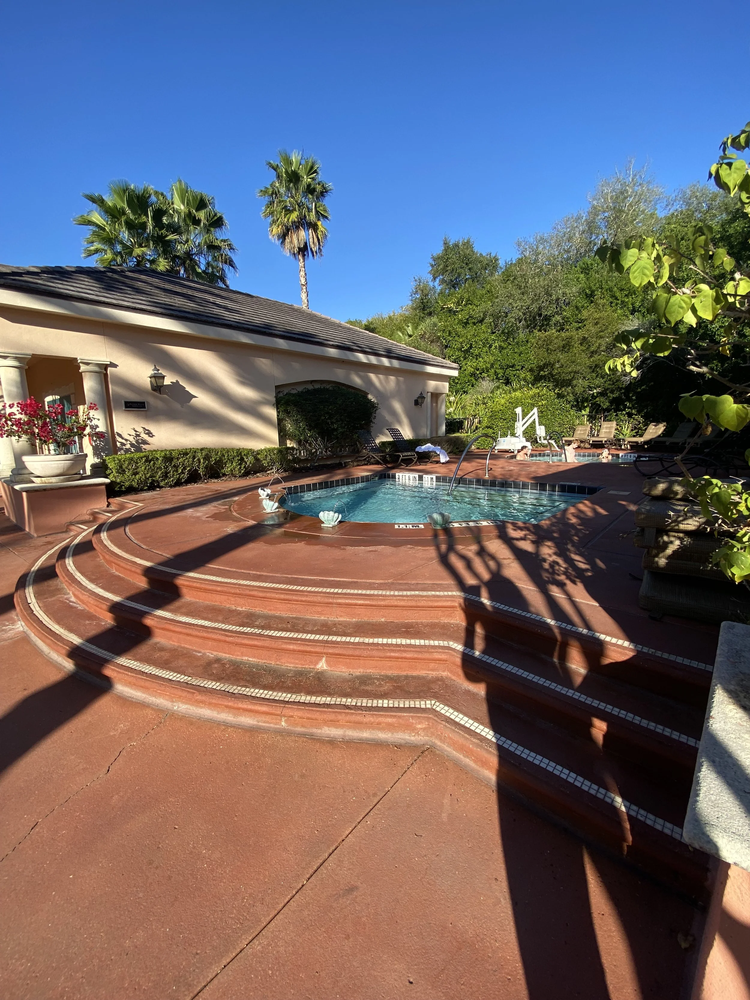 A backyard swimming pool with tiled steps, surrounded by lounge chairs and lush greenery, under a clear blue sky.