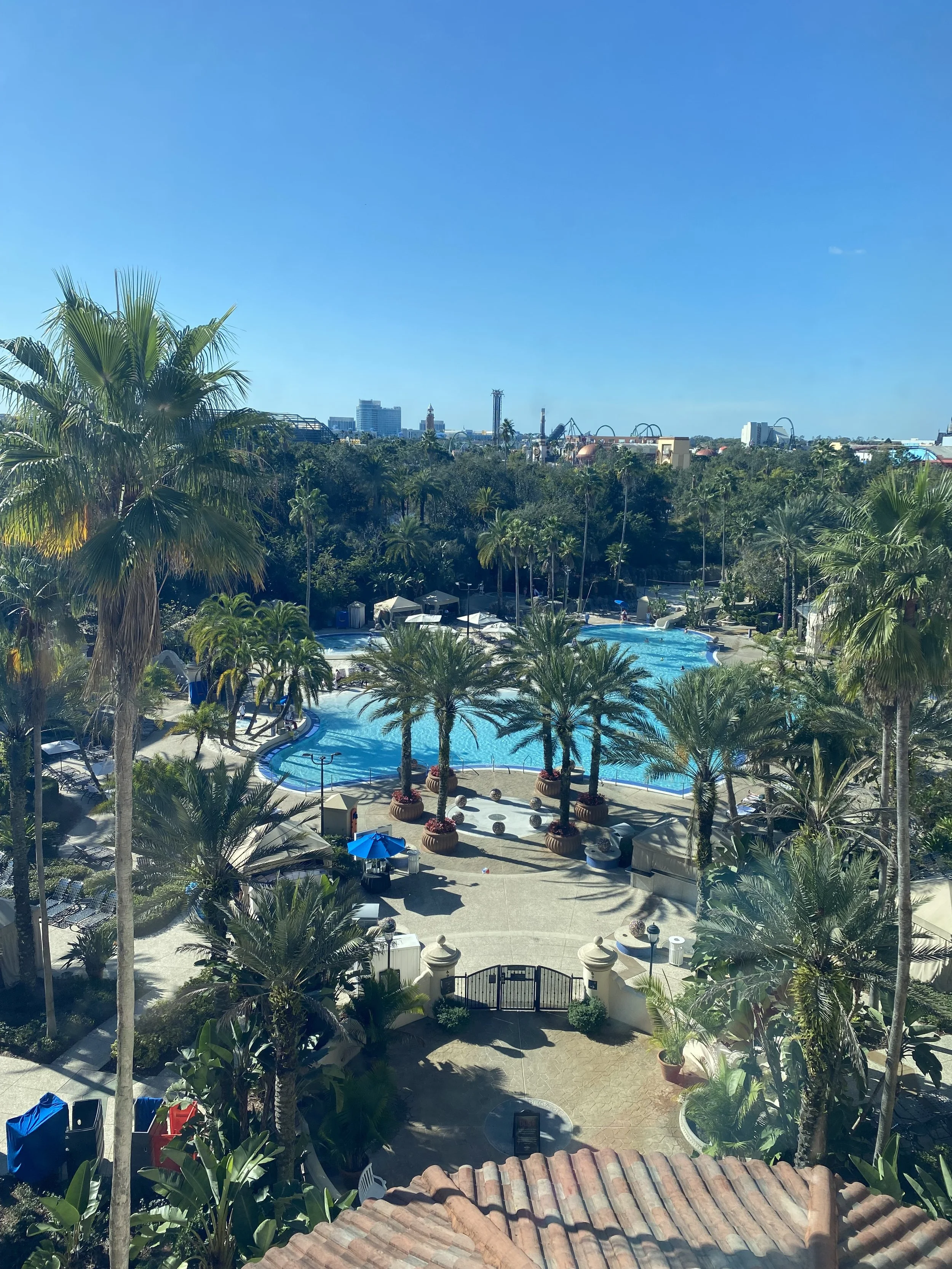 A view of a tropical outdoor pool area with palm trees, lounge chairs, and umbrellas, set against a city skyline in the background on a sunny day.