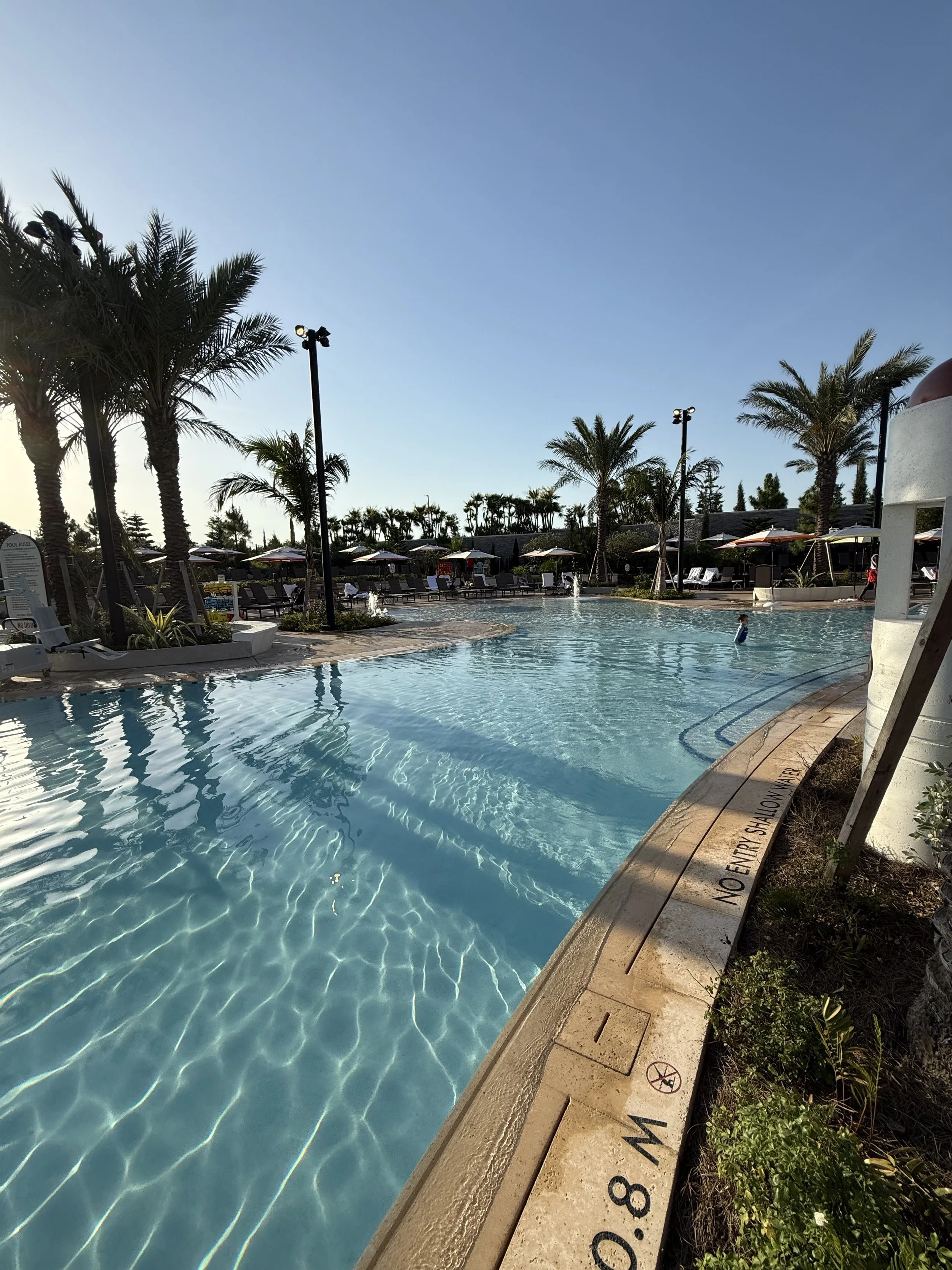 Empty swimming pool with palm trees, lounge chairs, and umbrellas under a clear blue sky.