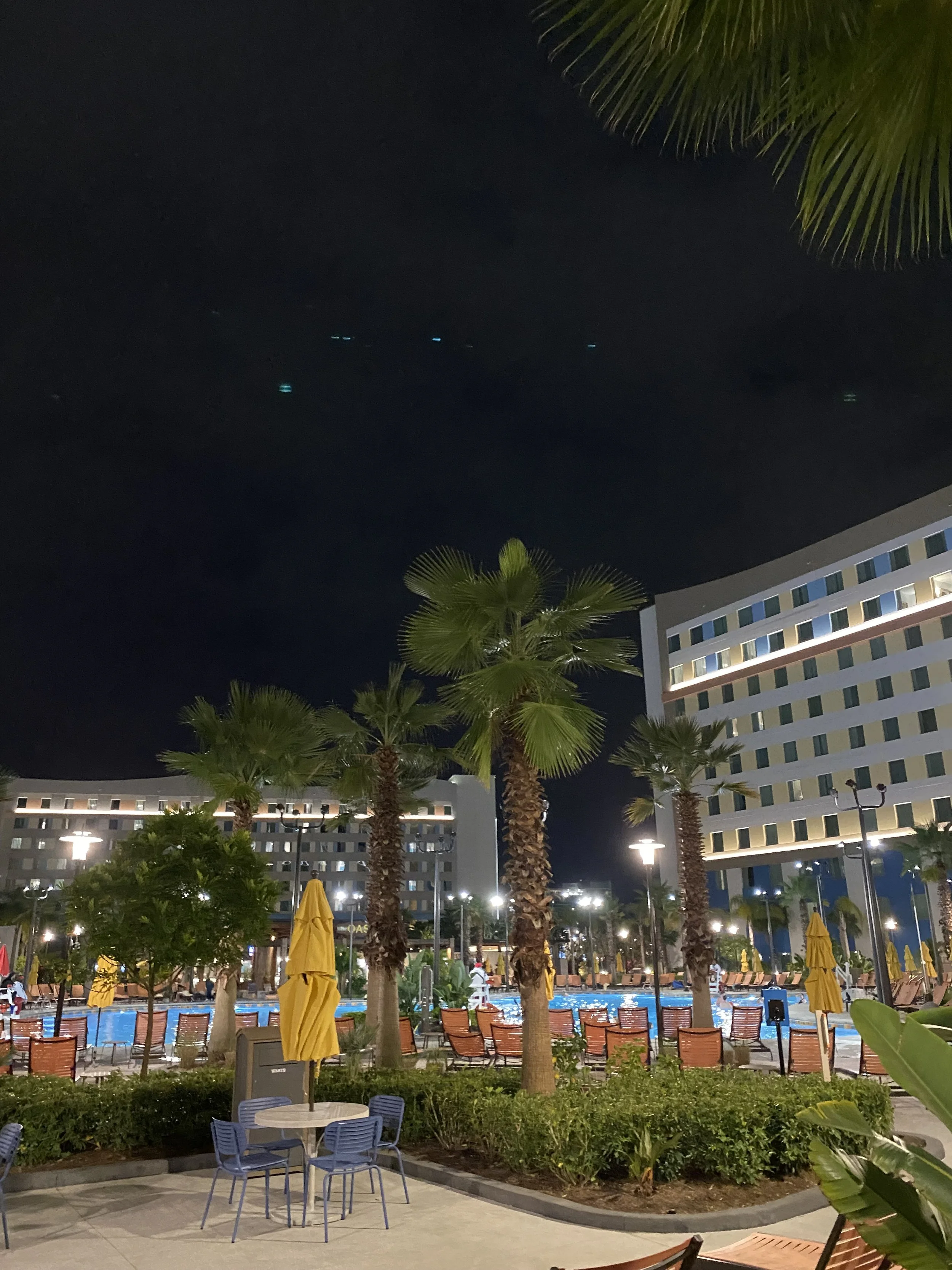 Nighttime view of a hotel pool area with tall palm trees, lounge chairs, and umbrellas, with modern hotel buildings in the background.