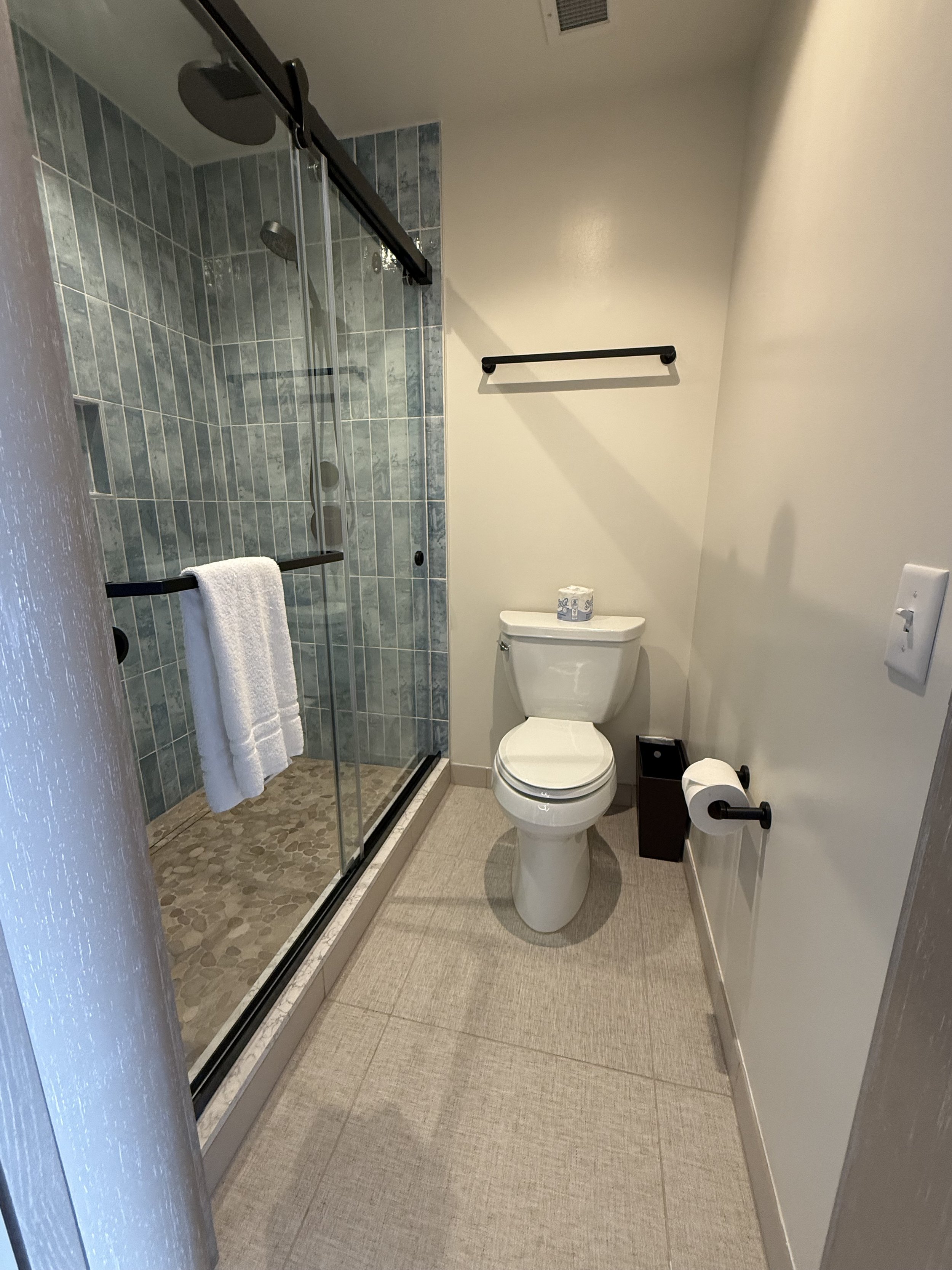 Bathroom with a glass shower enclosure, a white toilet, and a towel rack.