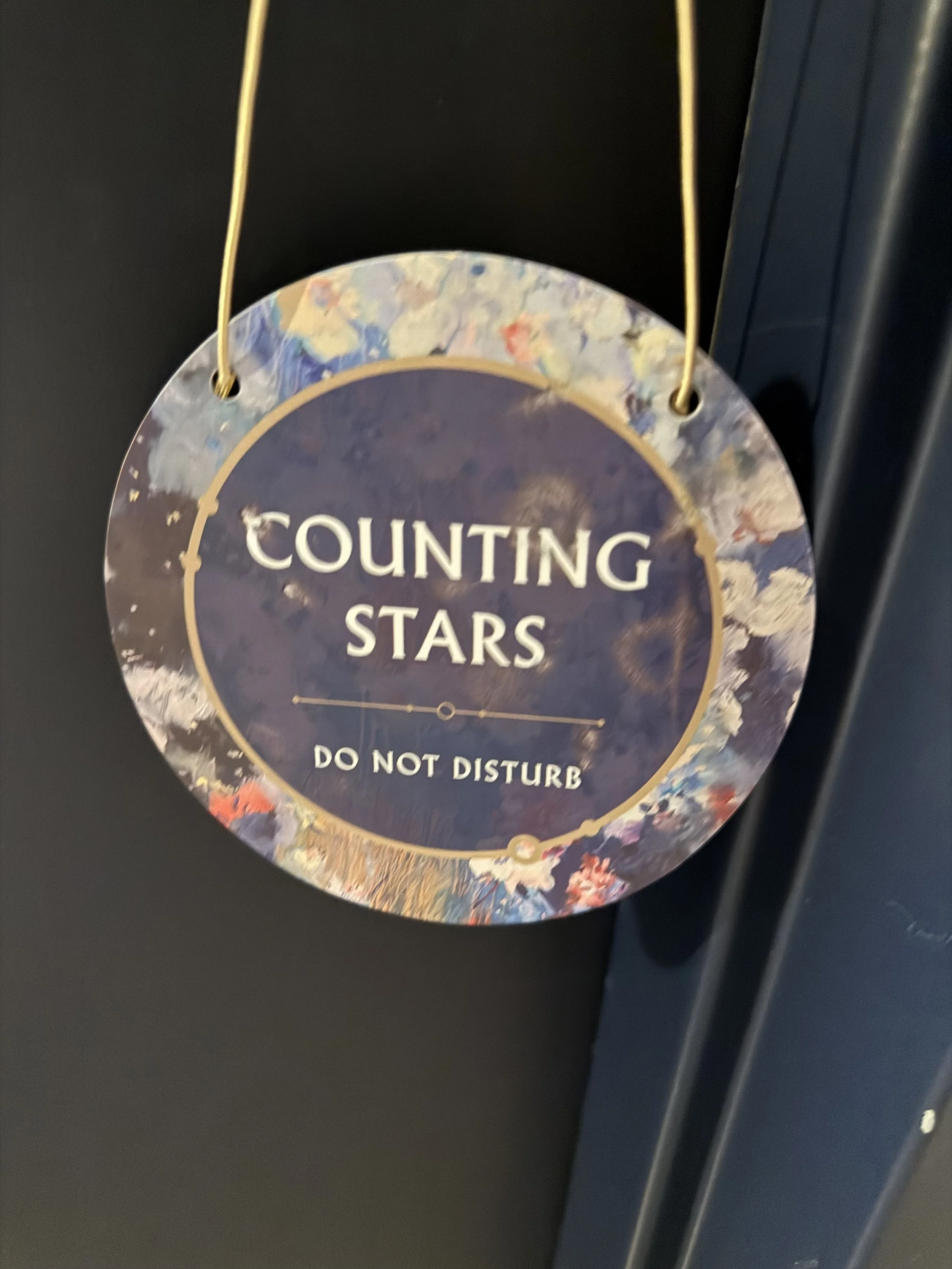 Decorative hanging sign with the words 'Counting Stars' and 'Do Not Disturb,' featuring a colorful floral border.