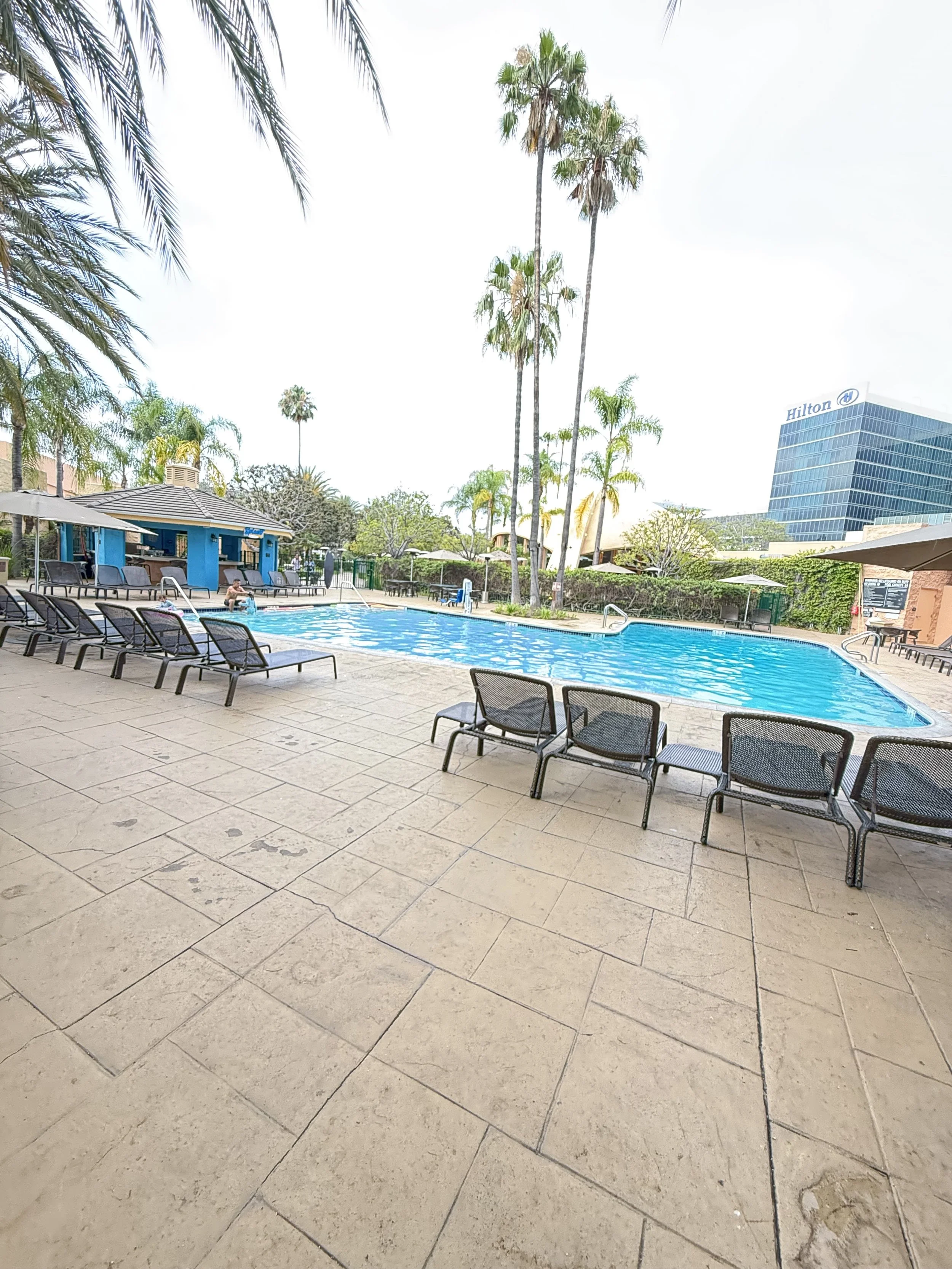 Outdoor hotel pool area with lounge chairs, palm trees, and a blue building in the background under a bright sky.
