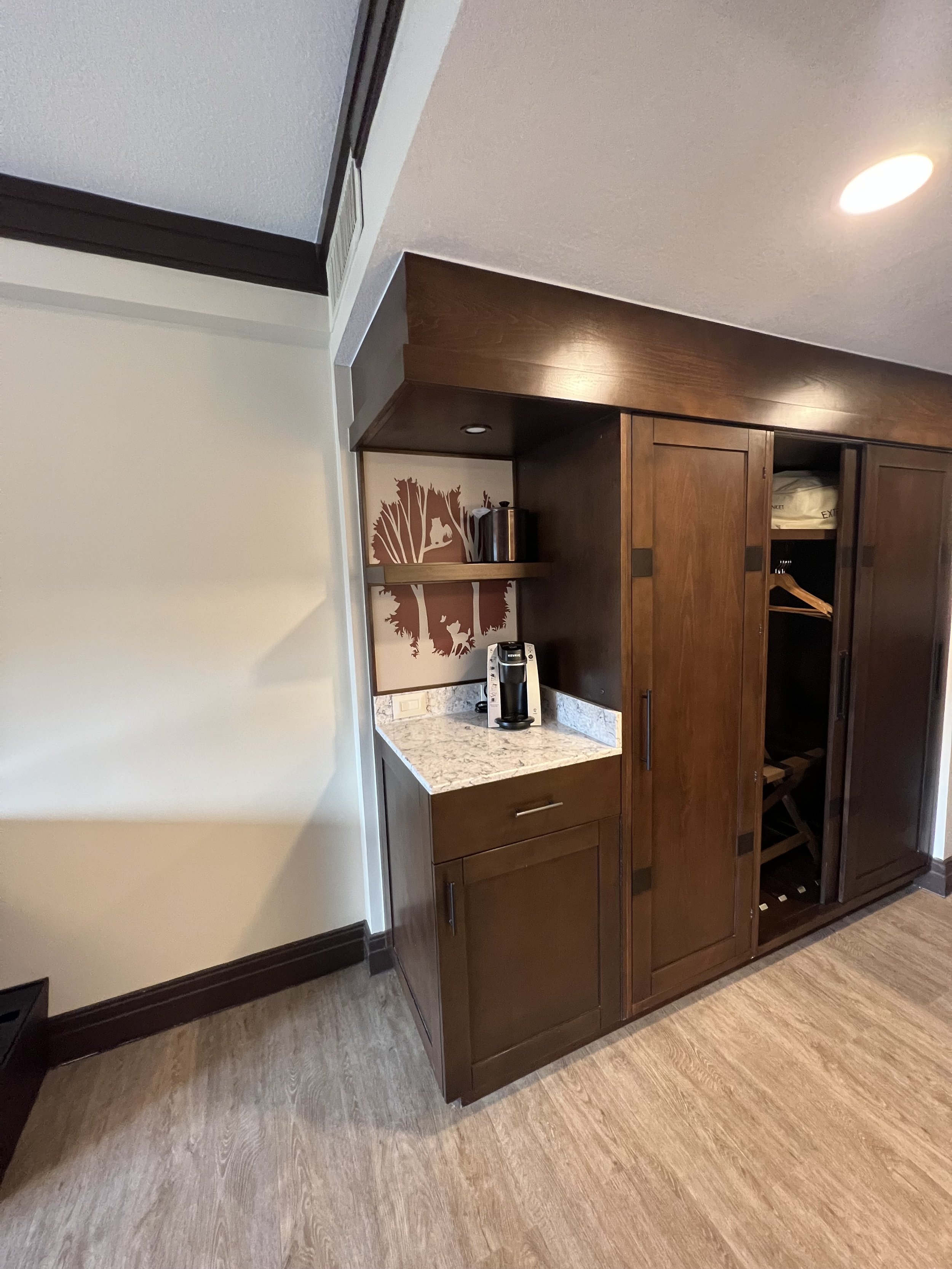 A small room area with a granite countertop, a coffee maker, and a decorative tree and animal mural behind the counter. There are wooden cabinets and a closet with hanging space and a chair inside.