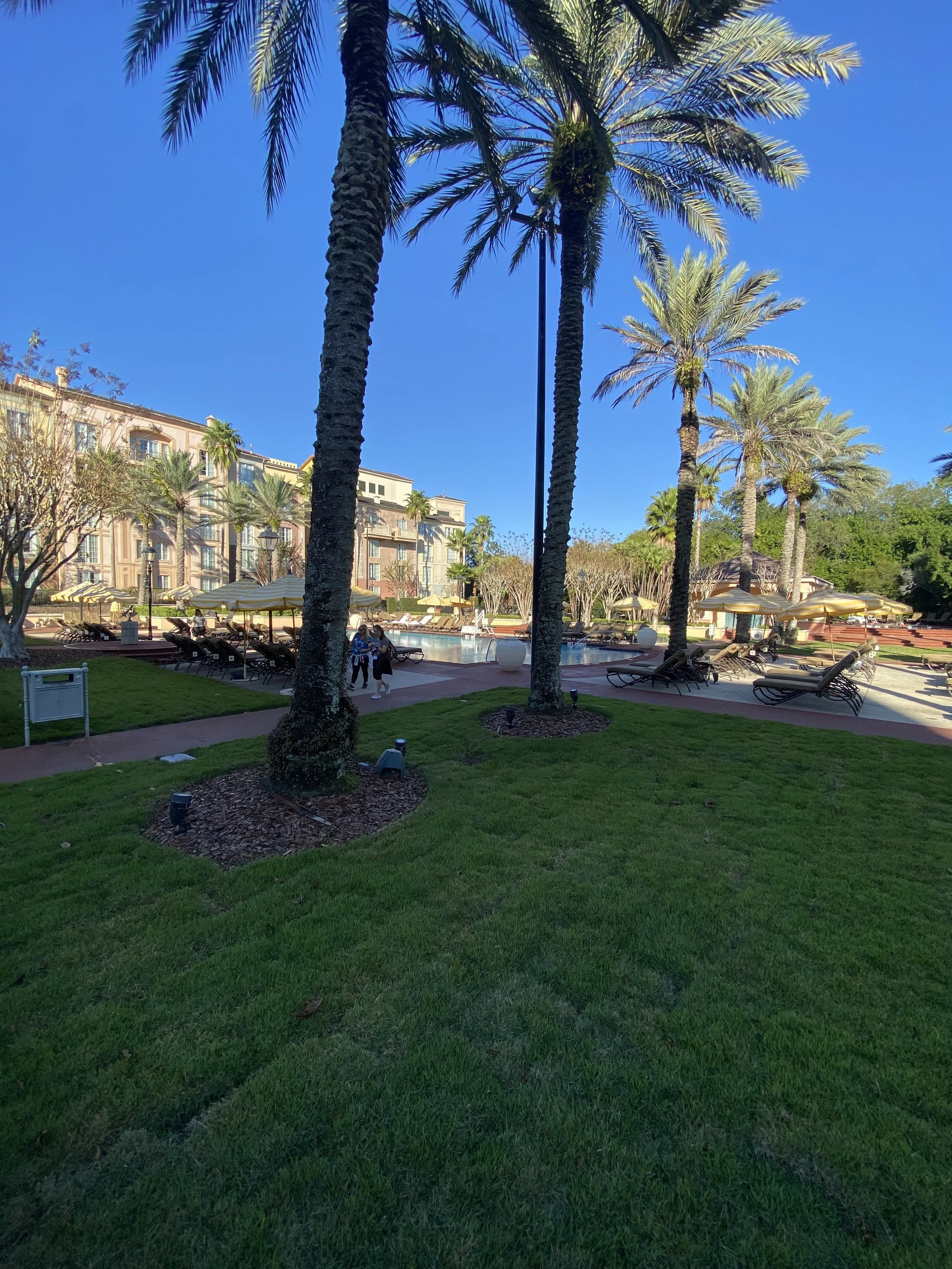 A serene outdoor pool area surrounded by tall palm trees, lounge chairs with umbrellas, and a building complex in the background under a bright blue sky.