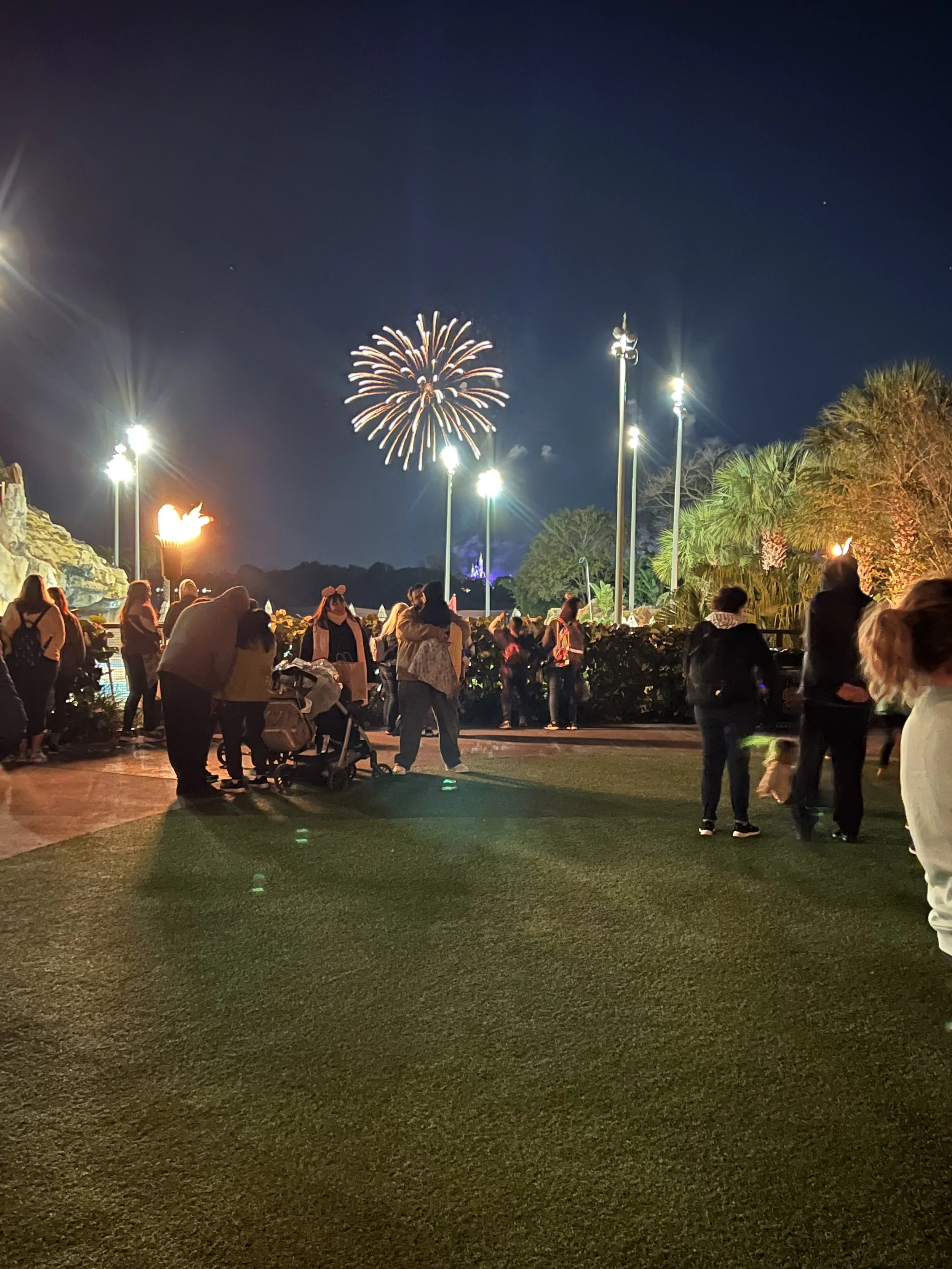People gathered outdoors at night watching fireworks with bright lights, trees, and colorful fireworks in the sky.