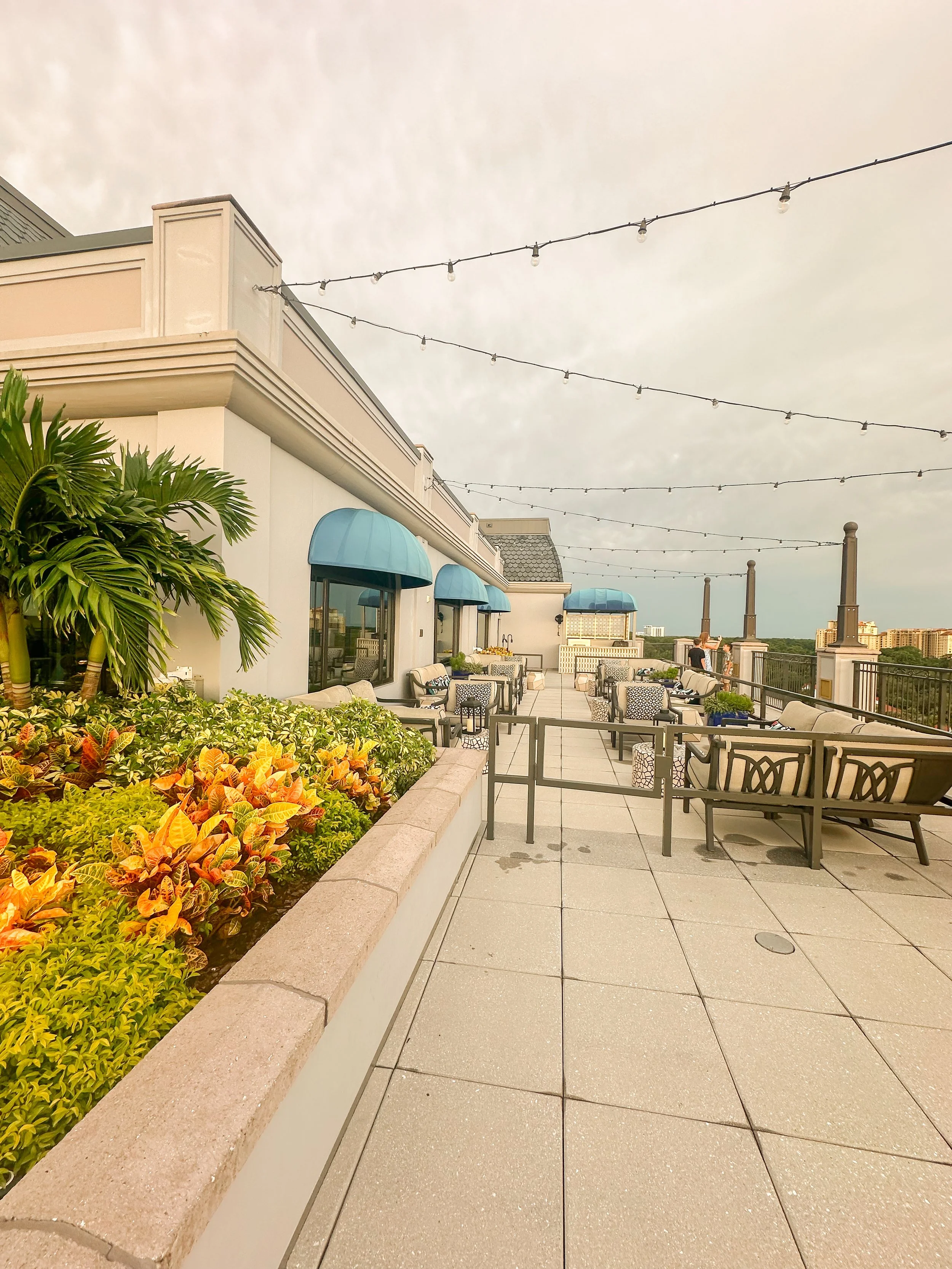 Rooftop terrace with outdoor seating, plants, string lights, and city skyline in the background.
