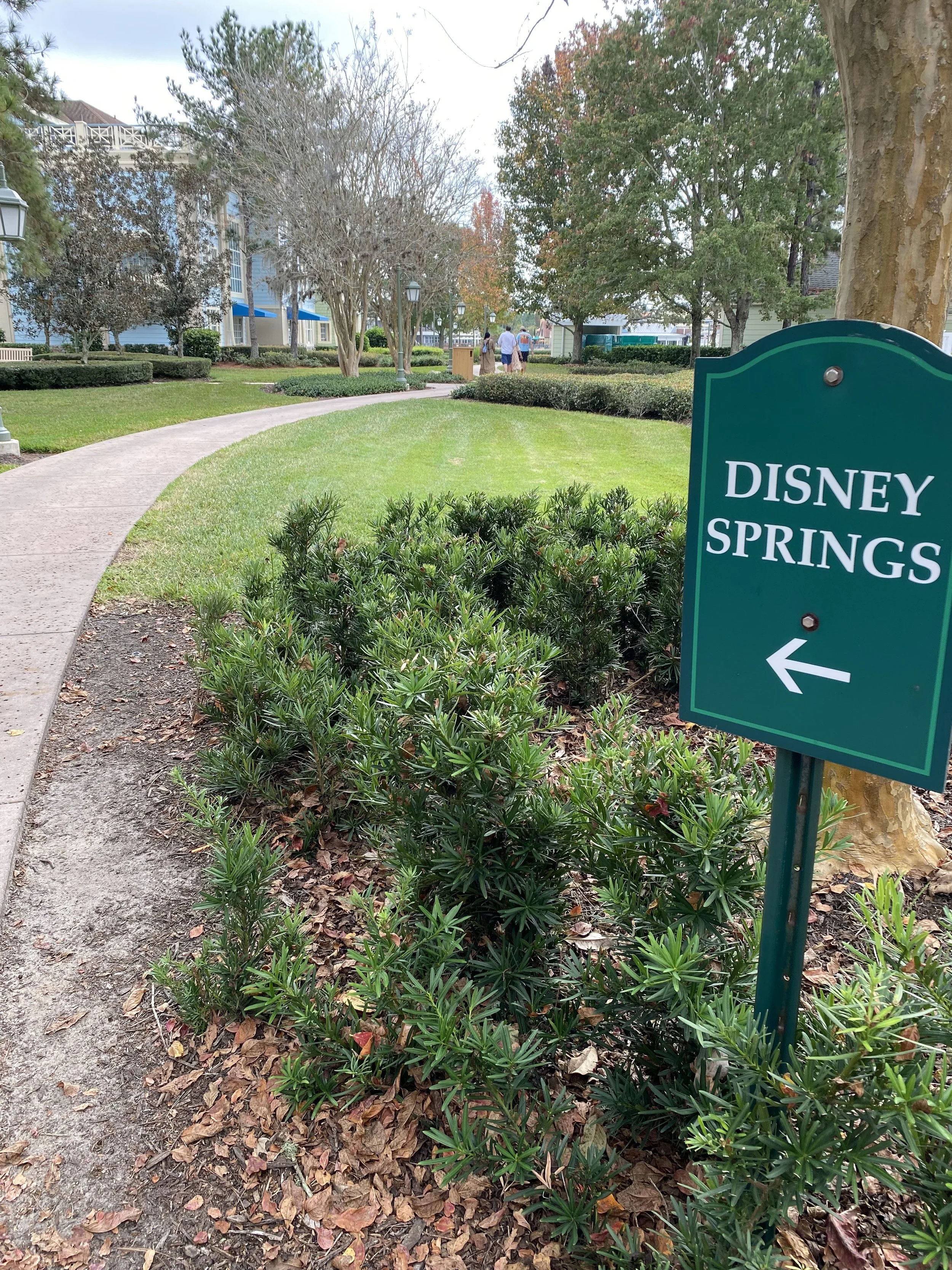 Sign pointing left for Disney Springs, with a pathway, trees, shrubs, and buildings in the background.