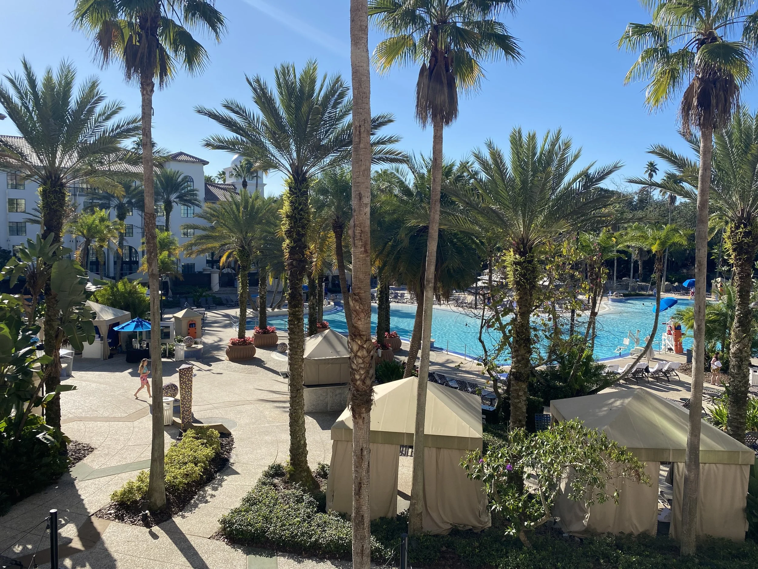 A resort swimming pool area with palm trees, umbrellas, lounge chairs, tents, and a blue waterslide, under a bright blue sky.