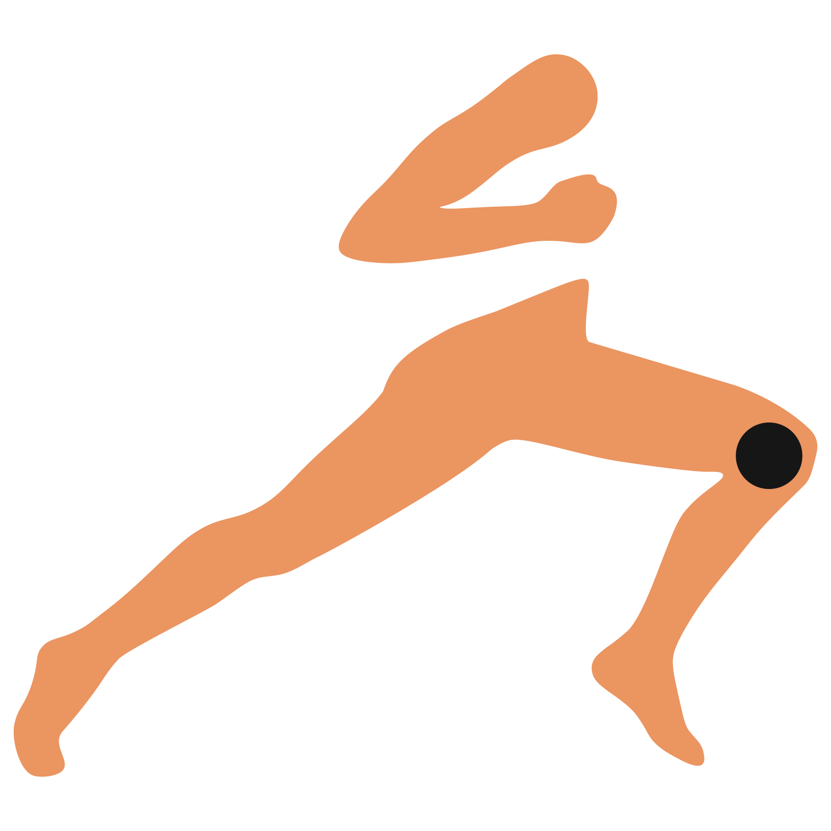 ACL Reconstruction VSJC Melbourne Orthopaedic Surgery