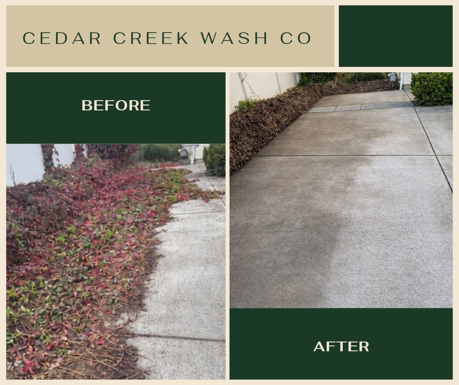 Side-by-side comparison of a concrete sidewalk before and after cleaning. The left shows a dirty, stained concrete with overgrown bushes, while the right displays a clean, bright concrete with trimmed bushes.