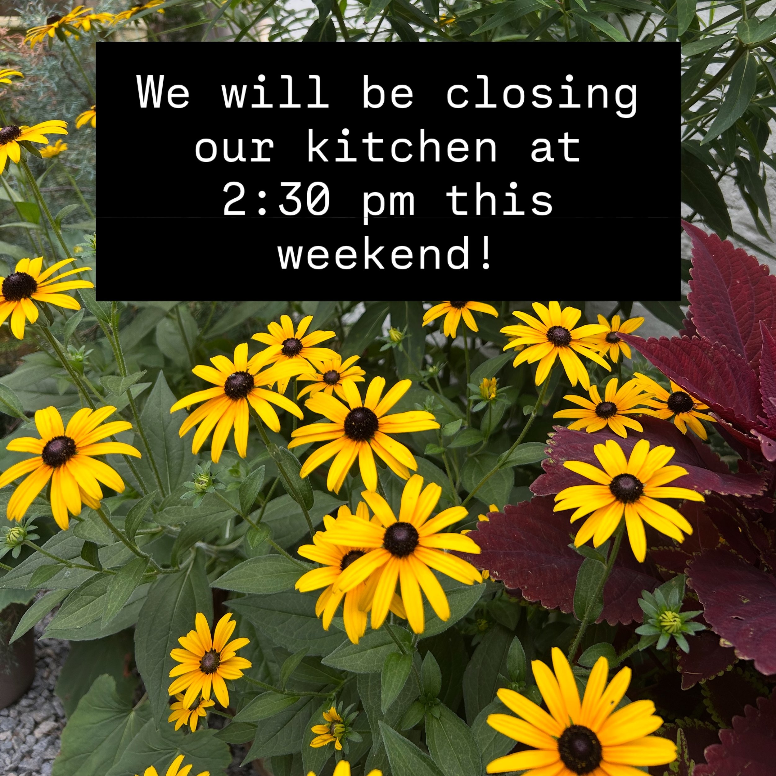 Heads up Scouties! We're testing out our kitchen hours to match our weekday hours- we can still do pastries and empanadas but get here before then for any breakfast or lunch sandwiches!