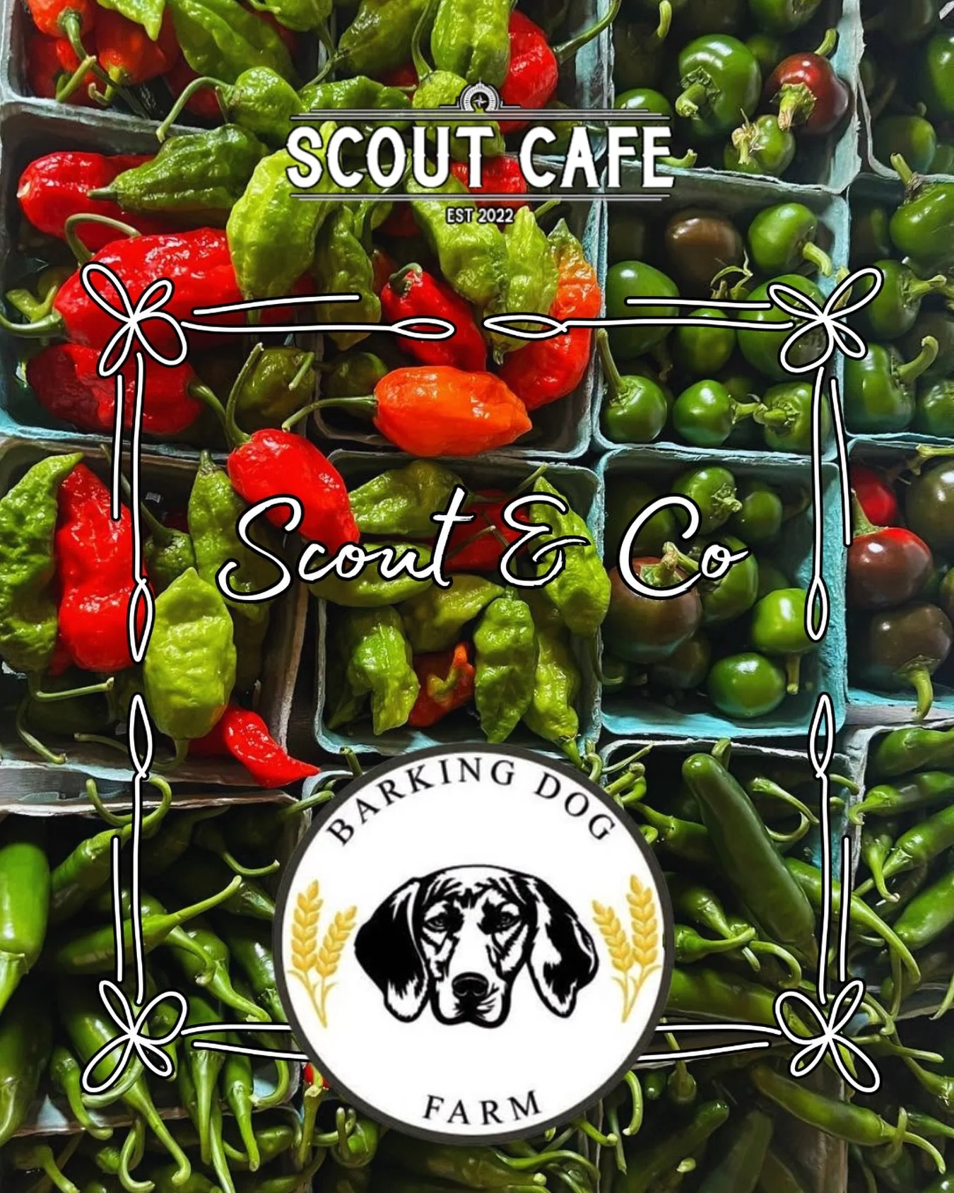 For August&rsquo;s Scout &amp; Co feature, we&rsquo;re proud to spotlight our friends at Barking Dog Farm in Kennett Square, PA! Using regenerative farming practices, Barking Dog Farm grows fresh, seasonal produce for local farmers markets, restauran