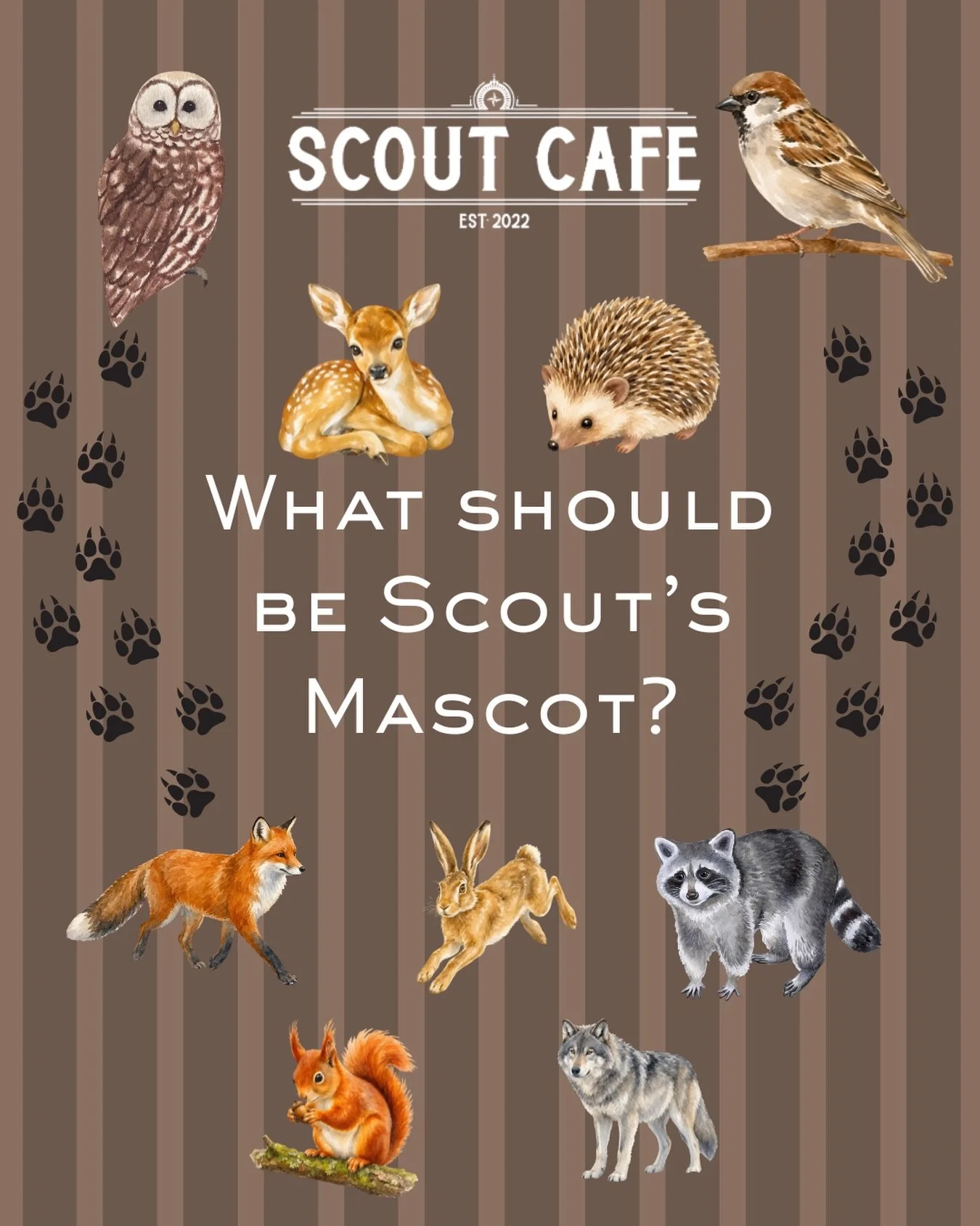 SCOUTIES!!! Our cafe is in need of a mascot! 

Which animal do you think best suits the Scout way?!
Is it the wise observer like the owl, or the quick and adventurous feet of the fox?

Let us know in the comments below!

(PS&mdash; the animal does no