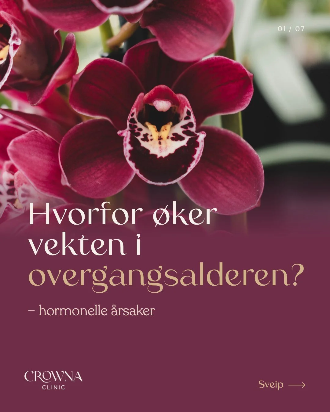 Kjenner du deg igjen? Vekten kryper oppover, selv om du ikke har endret noe 🌺

Det er ikke mangel p&aring; viljestyrke. Det er hormonene. &Oslash;strogen og testosteron synker, kortisol &oslash;ker, og kroppen begynner &aring; lagre mer fett, spesie