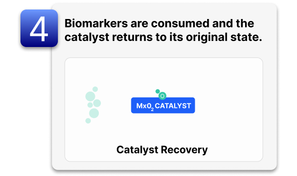 Quadrant 4: Biomarkers are consumed and catalyst returns to original state.