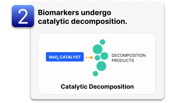 Quadrant 2: Biomarkers undergo catalytic decomposition