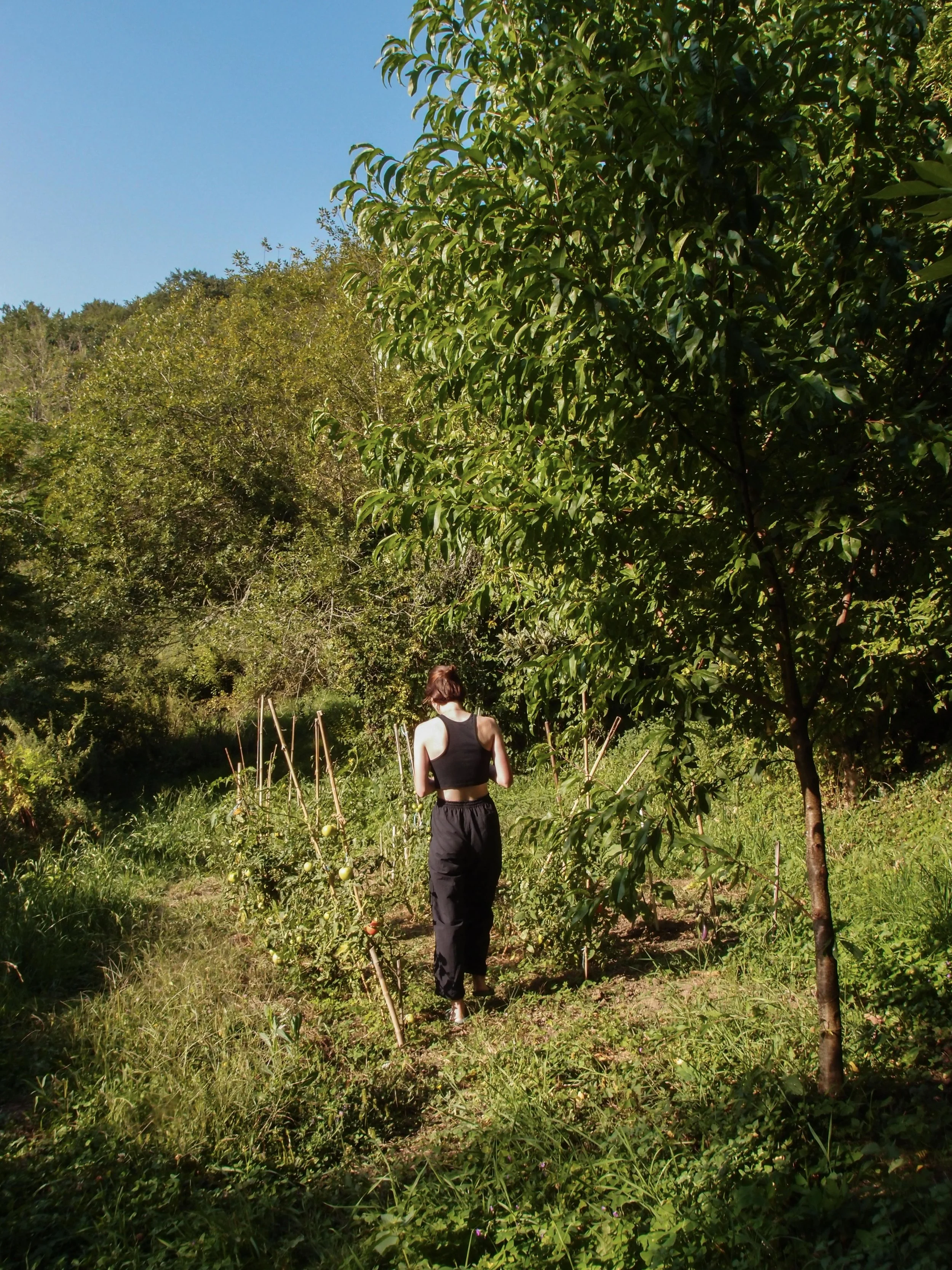 Maraîchers bio locaux partenaires d’un gîte écologique en Occitanie. Produits frais de saison pour retraites yoga et formations. Lieu de stage développement personnel dans l’Aude.