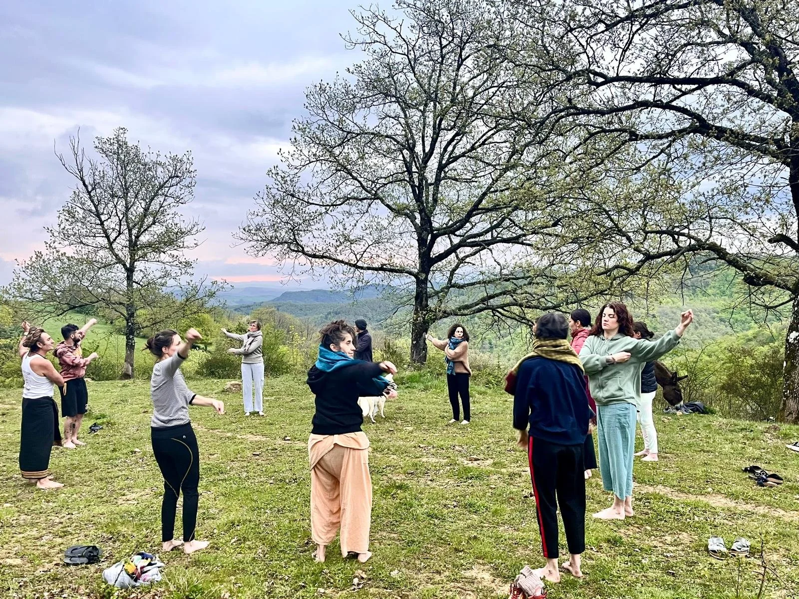 Espaces extérieurs d’un gîte écologique de groupe en Occitanie, conçus pour habiter pleinement le lieu. Terrasses ouvertes sur le paysage, vue sur le Pic de Bugarach, forêt et eau de source. Lieu de retraite yoga et stage bien-être dans l’Aude.
