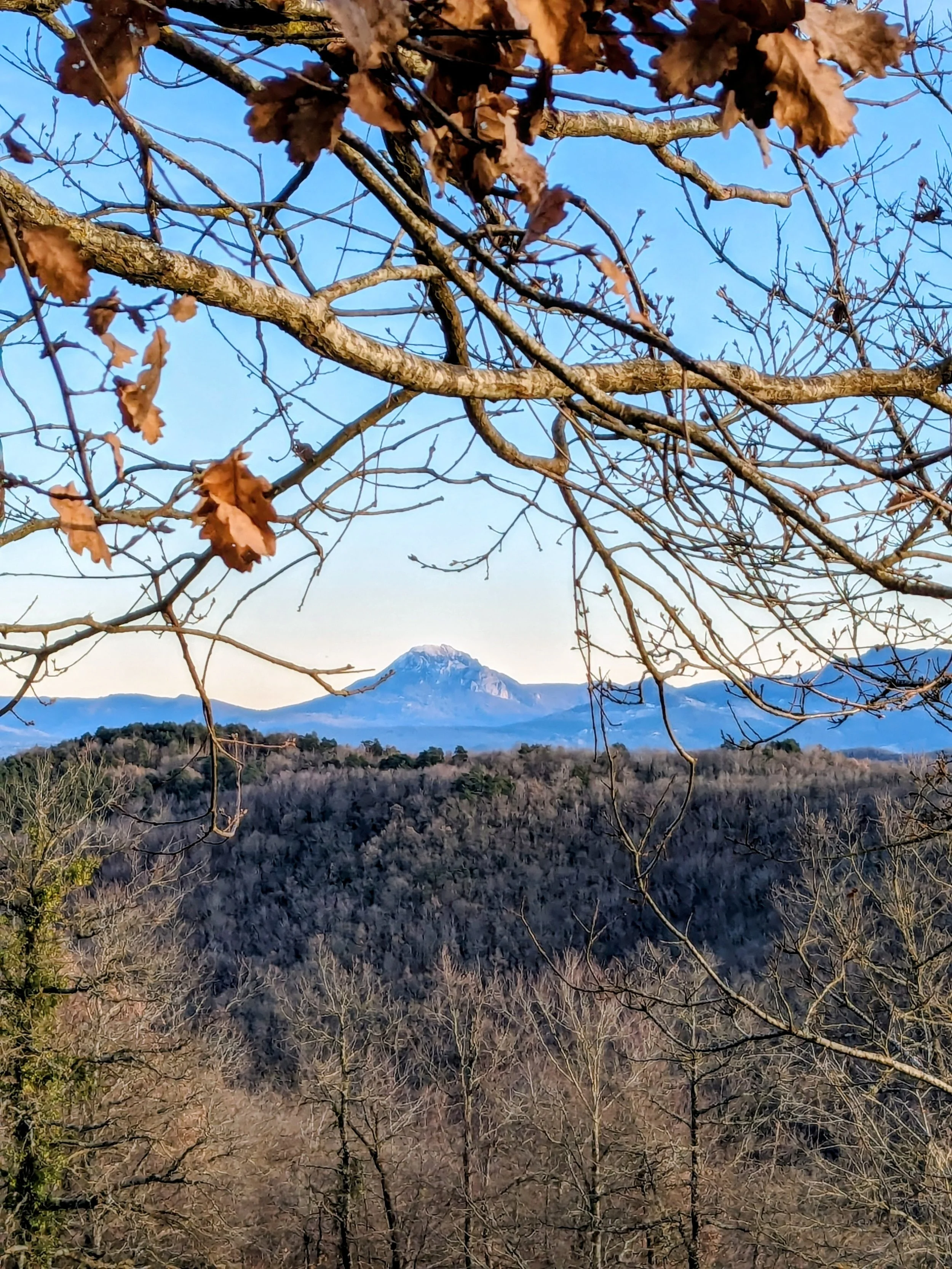 Gîte écologique en Occitanie niché en pleine nature, entre forêt et premiers reliefs des Pyrénées. Ce lieu de retraite et de stages accueille jusqu’à 15 personnes pour des séjours, retraites yoga et stages de développement personnel. Location de gîte