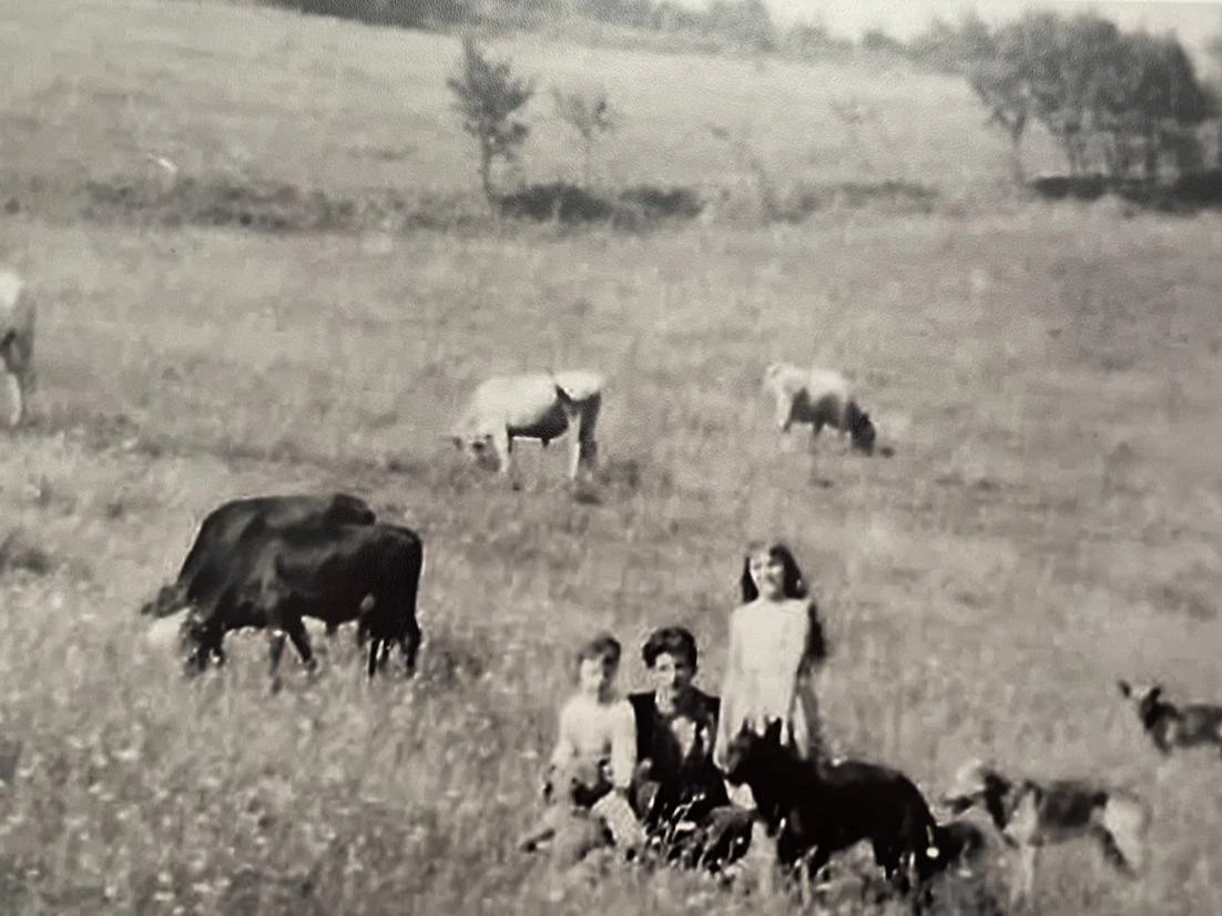 Ferme historique en Occitanie transformée en gîte de groupe écologique. Ce lieu, autrefois isolé et autonome, accueille aujourd’hui retraites yoga, stages de développement personnel et formations. Location de gîte 15 personnes dans l’Aude, entre Pyré