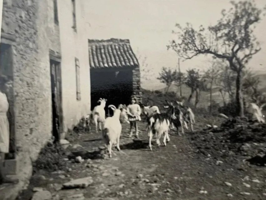 Ancienne ferme en Occitanie, devenue aujourd’hui gîte écologique pour retraites yoga et stages bien-être. Bâtie il y a plus de 200 ans dans la haute vallée de l’Aude, au-dessus de Limoux, elle accueille désormais des groupes jusqu’à 15 personnes. Loc
