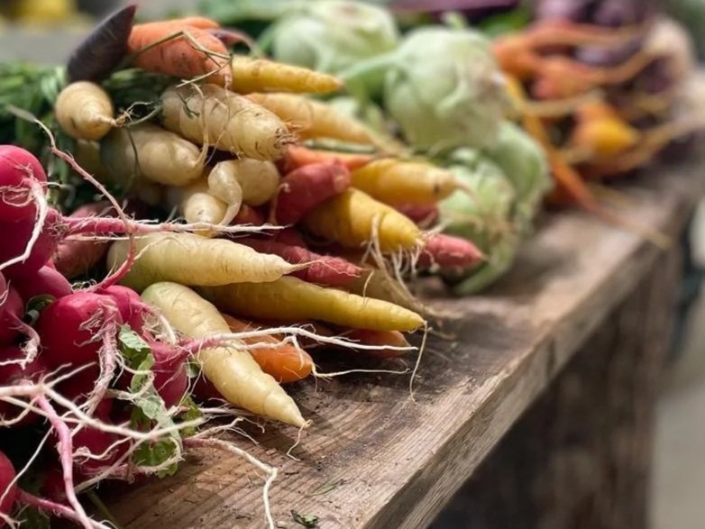 Cuisine de gîte écologique en Occitanie basée sur circuits courts et producteurs locaux. Produits de saison pour retraites yoga, stages et formations. Lieu de retraite et de stage bien-être dans l’Aude.