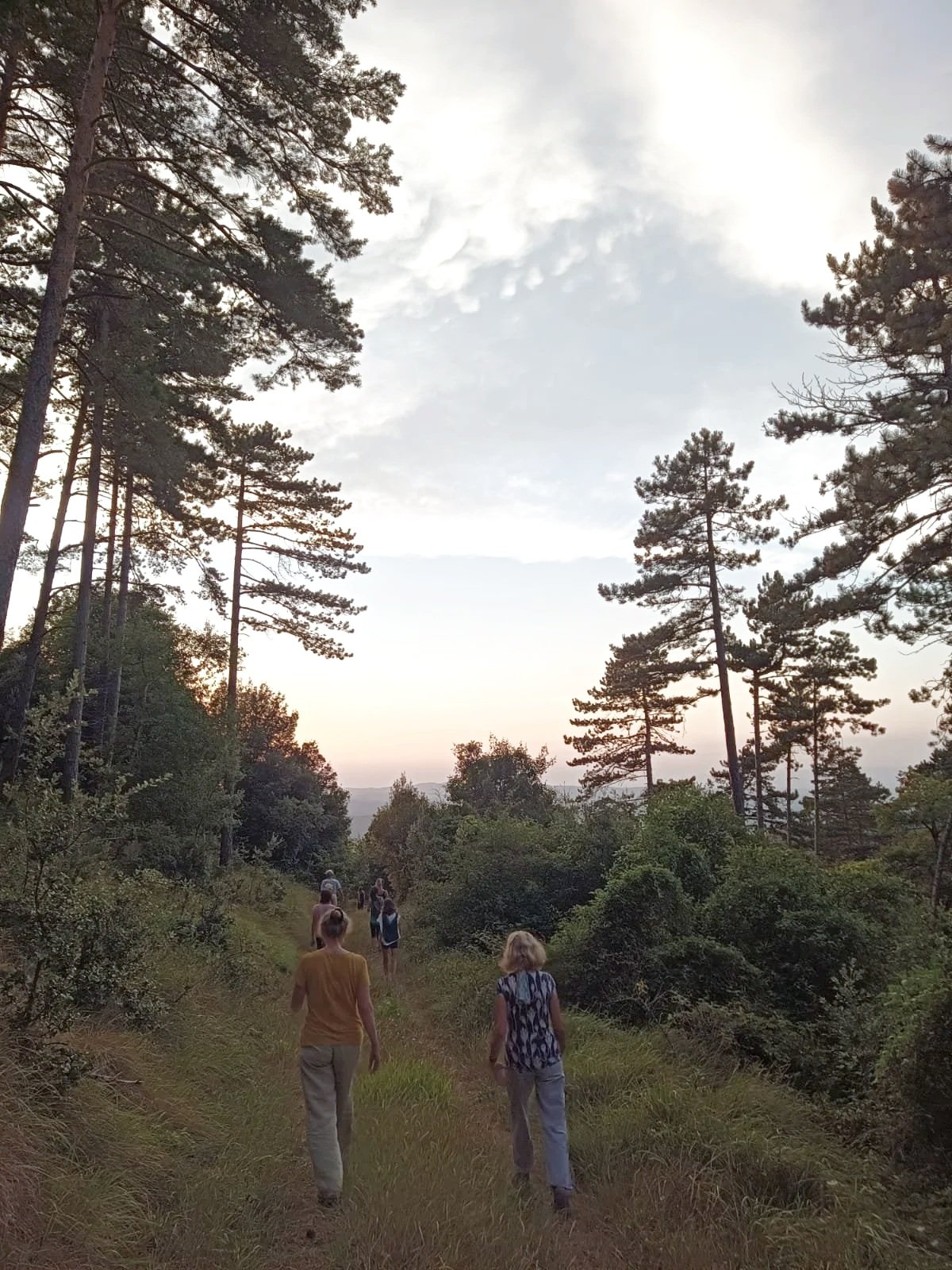 Location de lieu de stage bien-être en Occitanie avec privatisation totale du gîte écologique. Accueil de groupes jusqu’à 15 personnes dans l’Aude.
