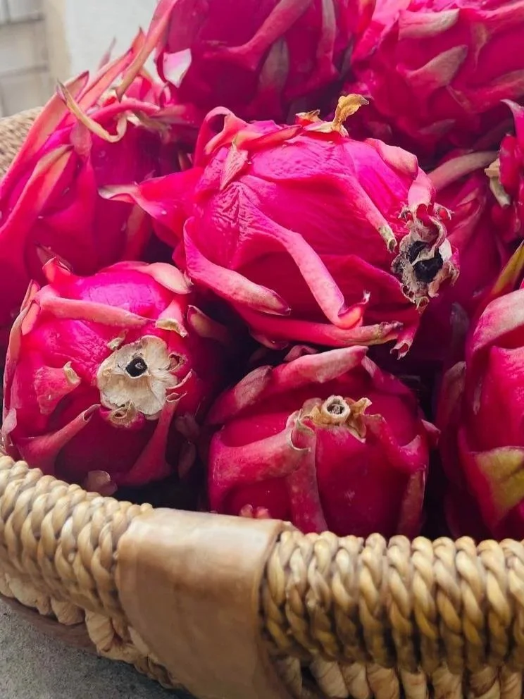 Cuisine consciente dans un gîte écologique en Occitanie, avec recettes simples pour retraites yoga et séjours de ressourcement. Produits bio locaux et approche ayurvédique. Gîte de groupe 15 personnes dans l’Aude.