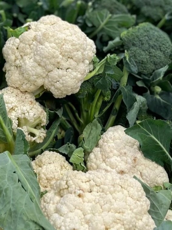 Cuisine simple et naturopathique dans un lieu de retraite yoga en Occitanie. Recettes de saison, végétariennes, pour stages bien-être et séjours collectifs. Gîte écologique dans l’Aude.