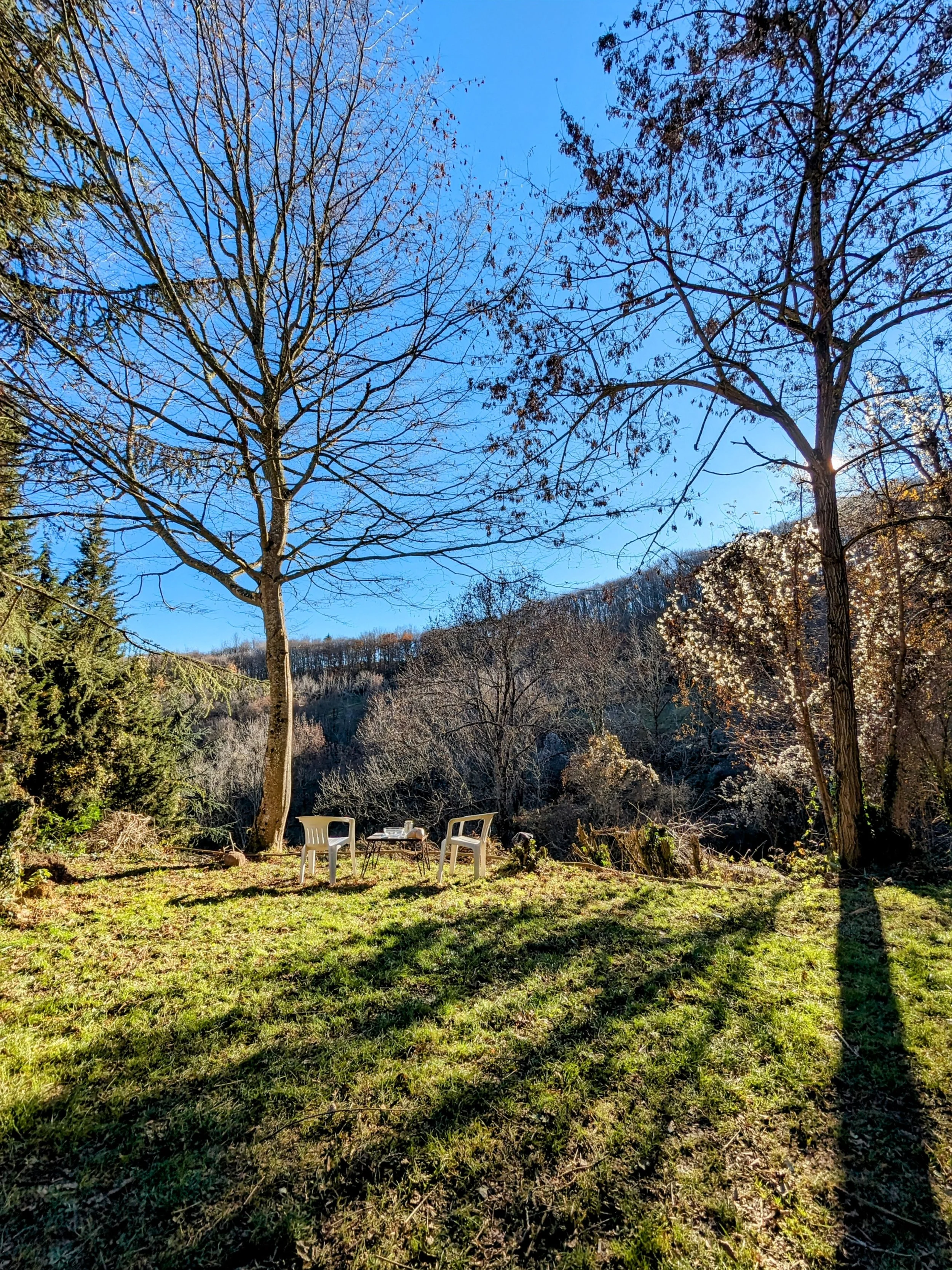 Extérieurs naturels d’un écolieu rural en Occitanie, dédiés aux retraites, stages et formations. Terrasses en pleine nature, forêt de 10 hectares et eau de source. Location de lieu de stage et de retraite yoga dans l’Aude, entre Pyrénées et Ariège.