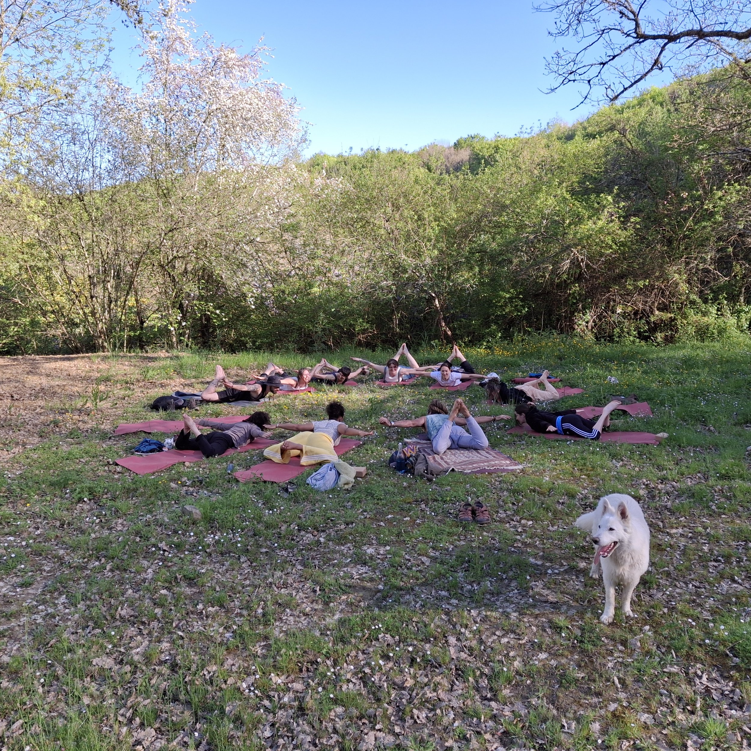 Gîte de groupe avec terrasse proche de Limoux
