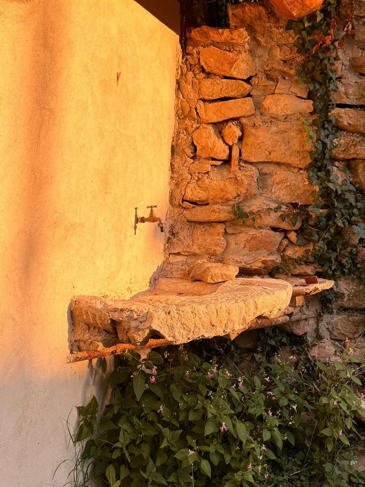 Gîte écologique en Occitanie situé dans l’Aude, dédié aux retraites yoga et stages de groupe. Écolieu rural avec forêt, étangs et salle de pratique. Location de gîte 15 personnes proche Pyrénées. Gîte de groupe avec cuisine ayurvédique. 