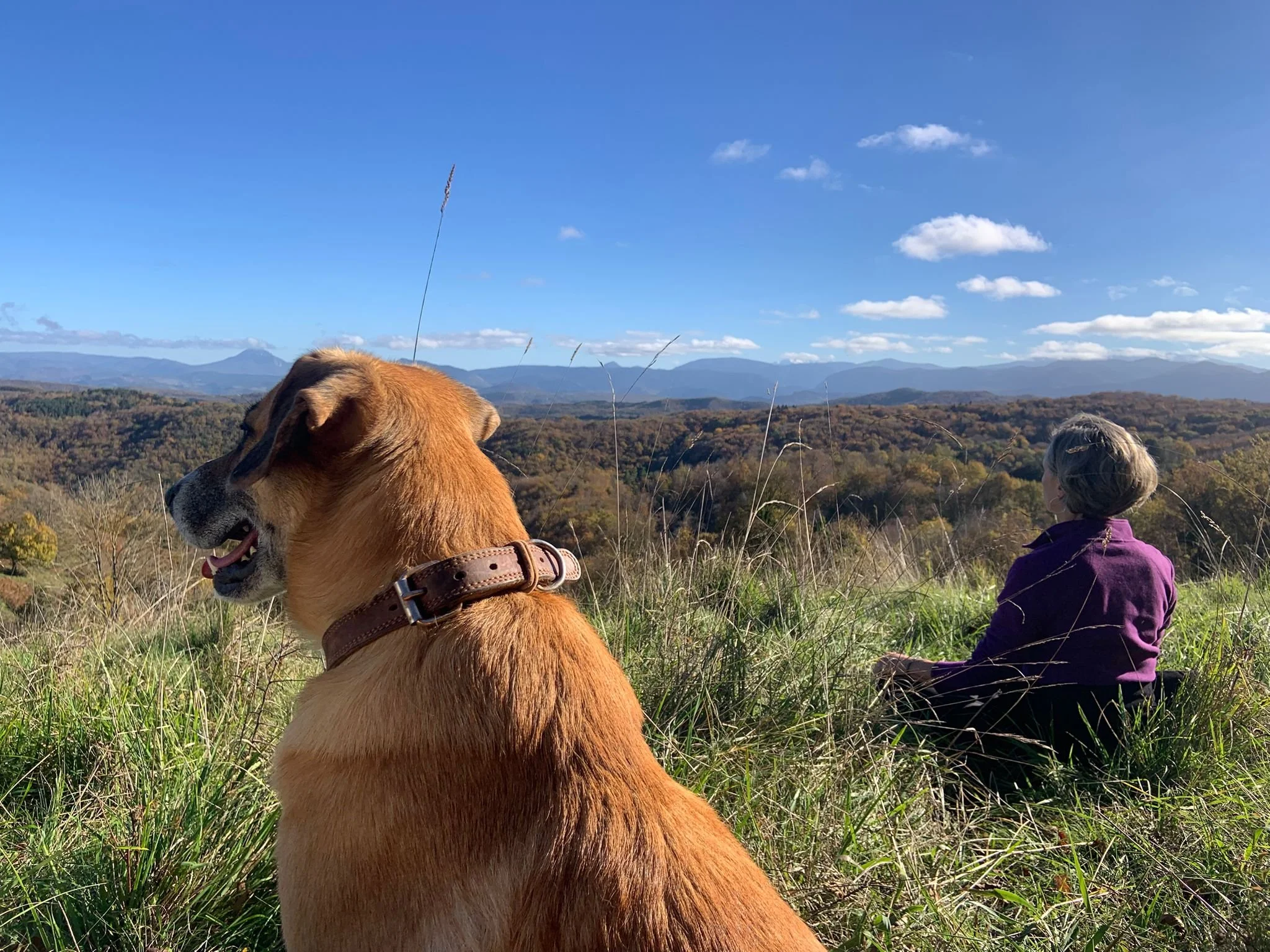 Gîte de groupe en Occitanie avec salle de pratique polyvalente pour retraites yoga et stages bien-être. Capacité 15 personnes, parquet bois naturel, murs en chaux et terre. Lieu de retraite en pleine nature dans l’Aude, proche Pyrénées. Ce gîte de gr