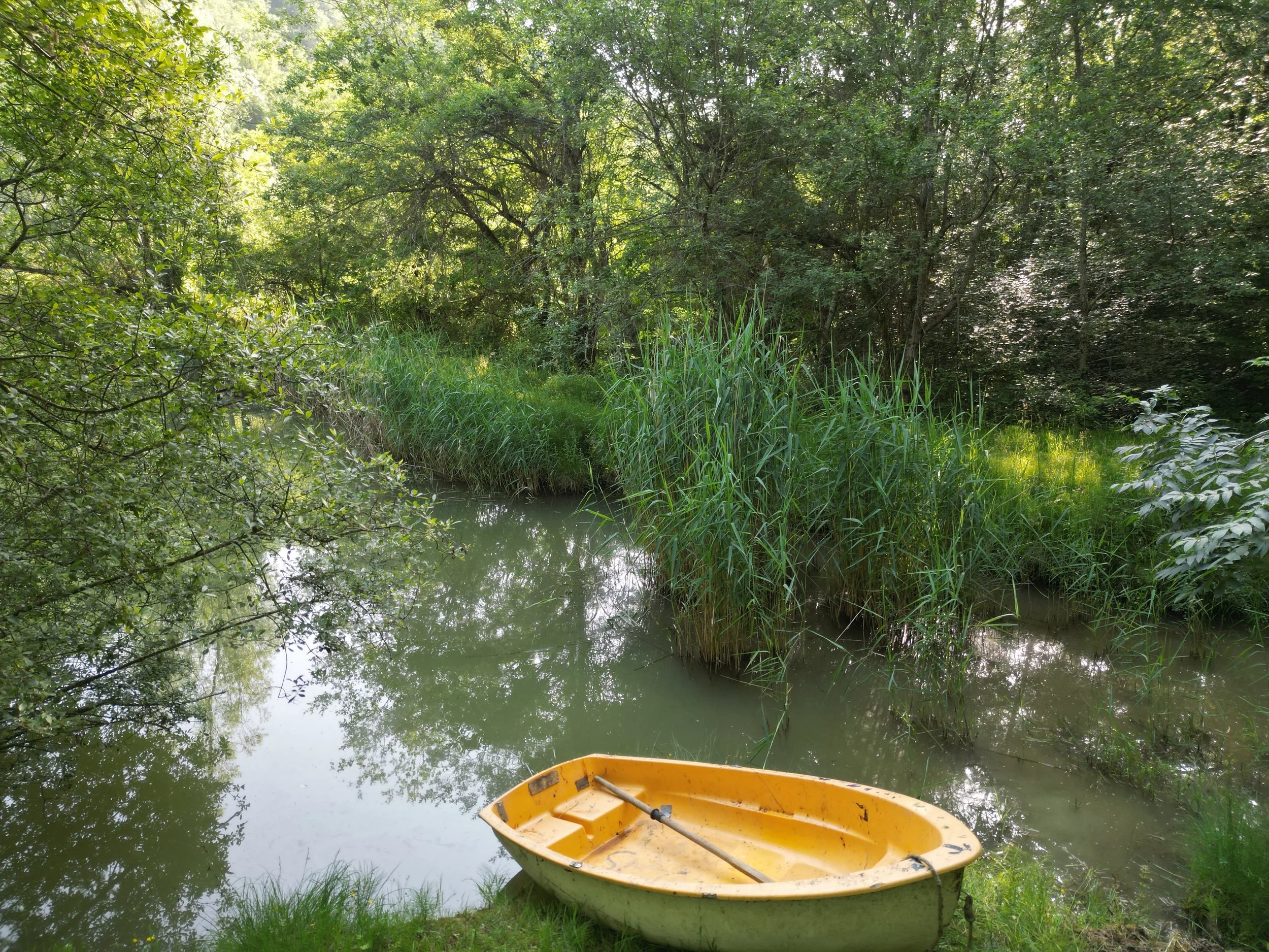 Chemin d’accès vers un écolieu rural en Occitanie accueillant retraites yoga et stages développement personnel. Gîte de groupe dans l’Aude, arrivée via la gare de Carcassonne.