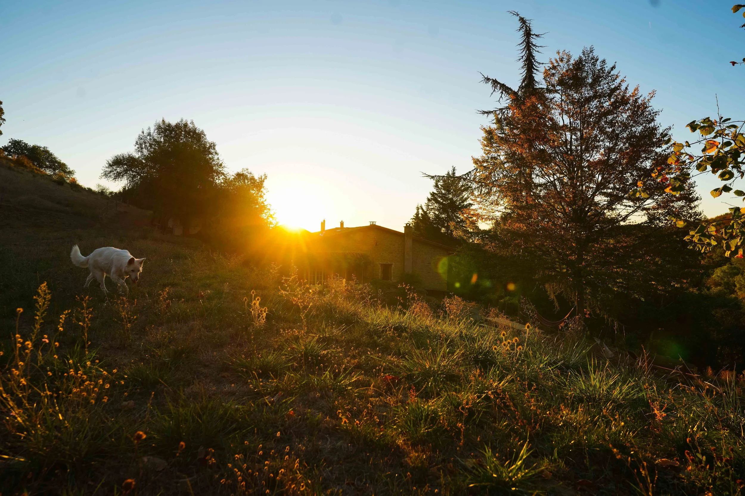 Rénovation écologiques avec des matériaux naturels : pierres, choux - chanvre, énergie solaire . Gîte pour stage, retraites et formation en Occitanie. La cuisine est entièrement ayurvédique et végétarienne. 
