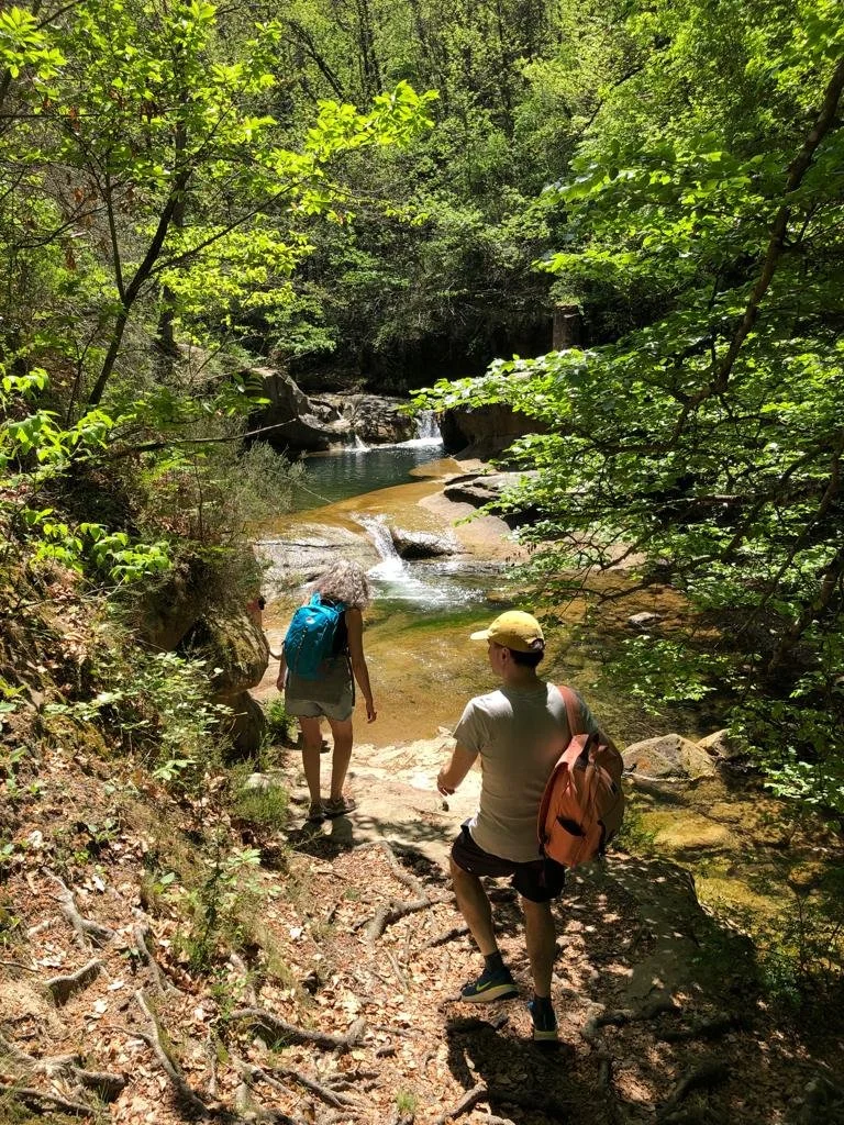 Gîte de groupe spacieux proche de la gare de Limoux dans l’Aude