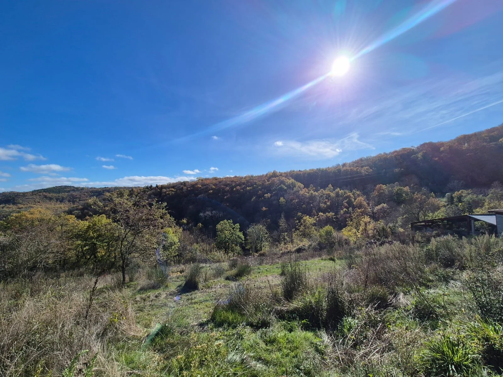 Recettes simples ayurvédiques préparées dans un gîte écologique en Occitanie pour retraites yoga et stages bien-être. Cuisine végétarienne, digeste et de saison, pensée comme un soin. Location de gîte de groupe 15 personnes dans l’Aude, proche Toulou