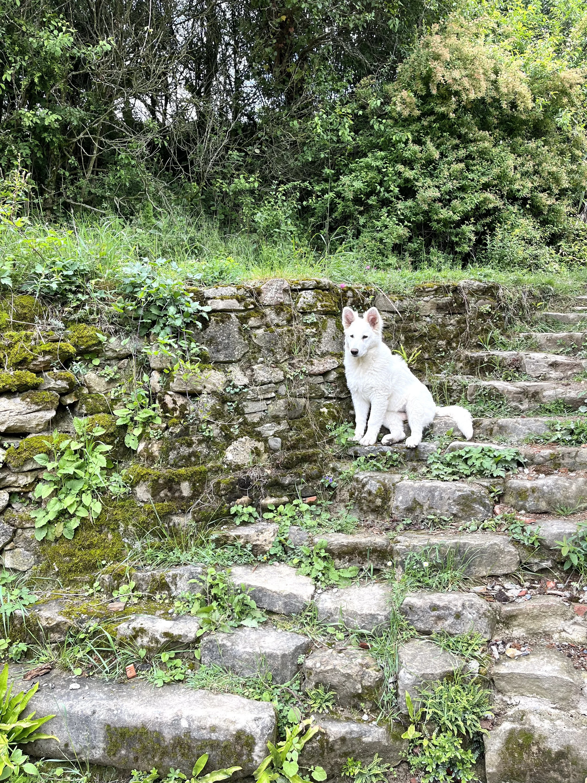 Gîte de groupe en Occitanie avec salle de pratique en bois naturel et enduits terre-chaux. Espace adapté aux stages yoga, retraites et formations jusqu’à 15 personnes. Location de lieu de retraite dans l’Aude, accessible depuis Toulouse et Montpellie