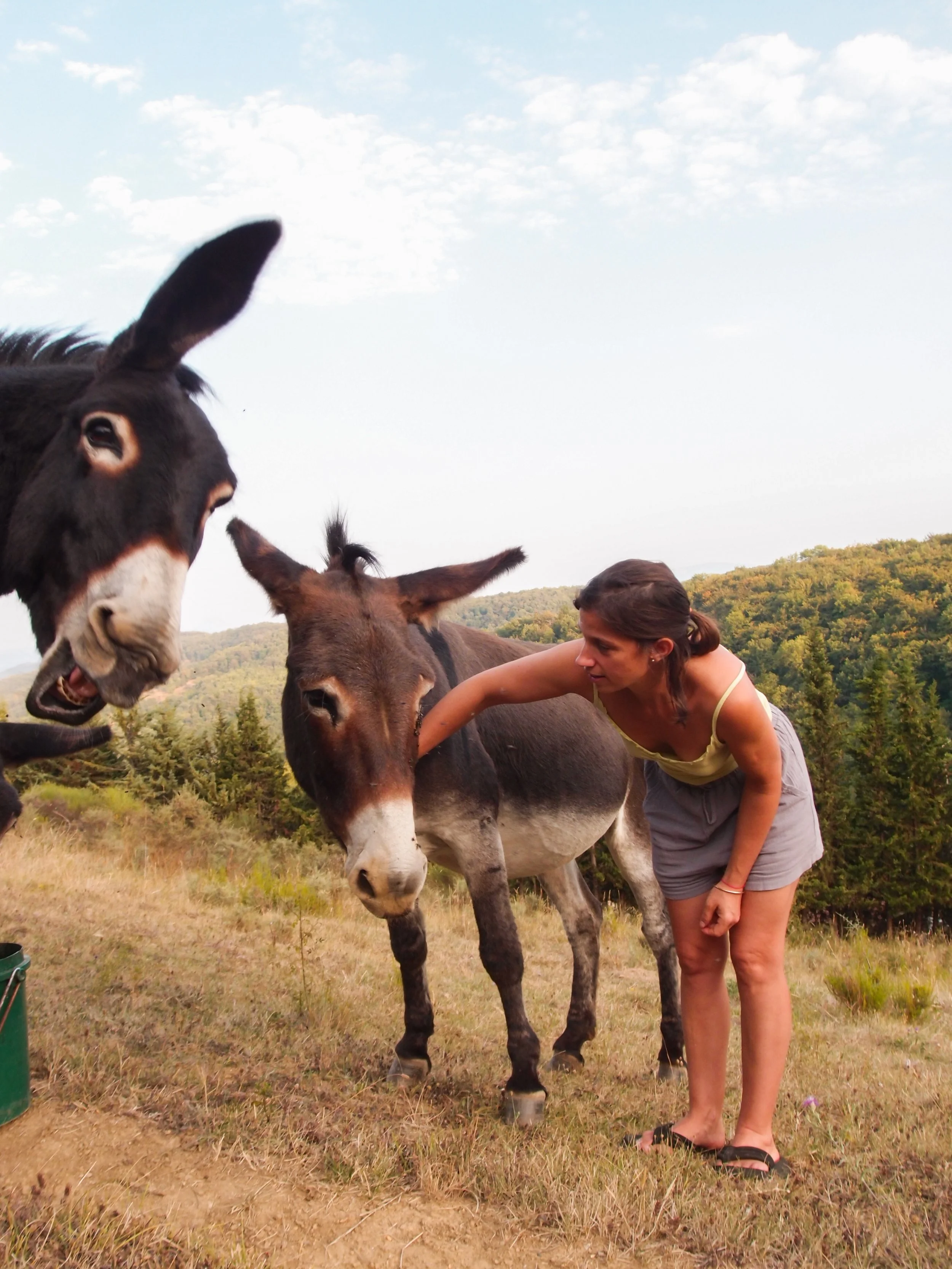 Gîte écologique en pleine nature, idéal pour stages, retraites et séjours de ressourcement. Location de gîte de groupe en Occitanie avec salle de pratique, cuisine consciente et hébergement jusqu’à 15 personnes. Ferme ancienne rénovée, proche des Pyr