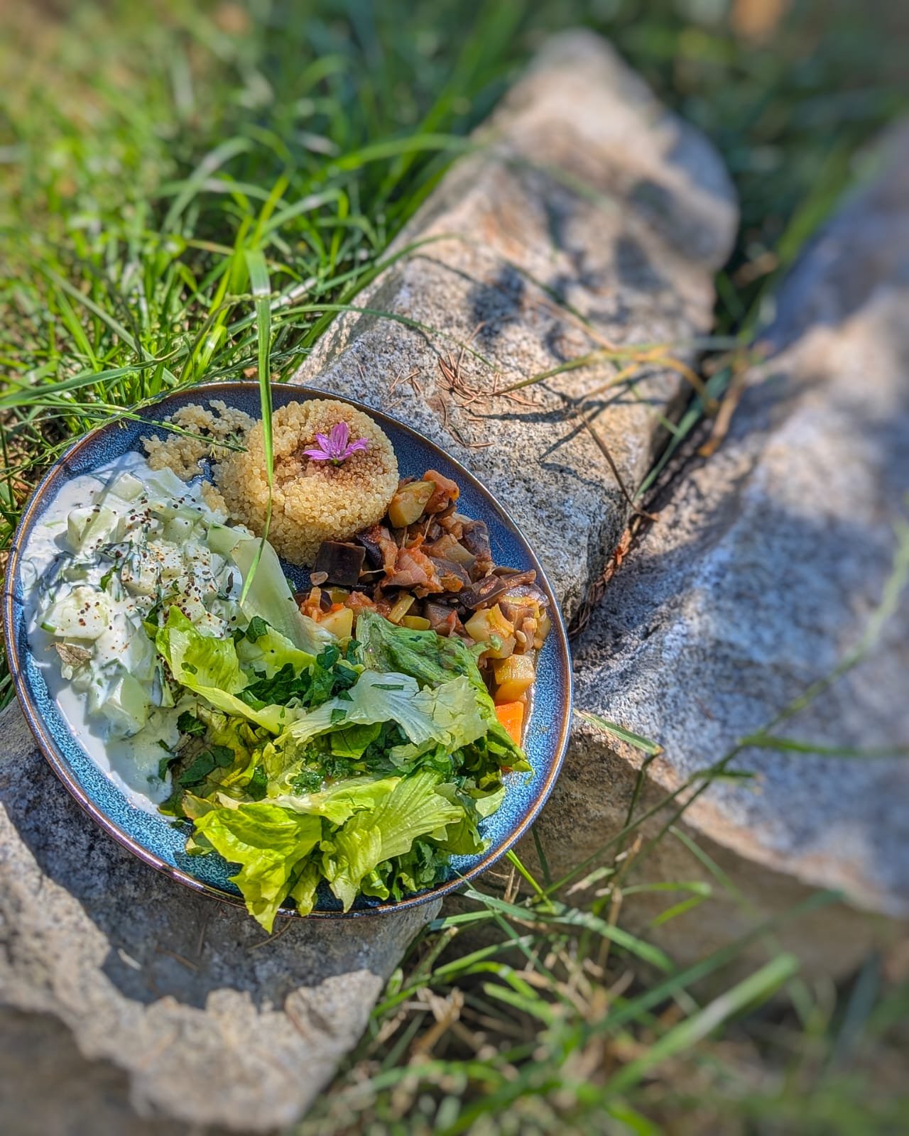 Ferme historique devenue lieu de retraite en Occitanie. Gîte écologique pour stages yoga, formations et retraites bien-être, accueillant des groupes jusqu’à 15 personnes. Location de lieu de stage dans l’Aude, entre Pyrénées et pays cathare. Le domai