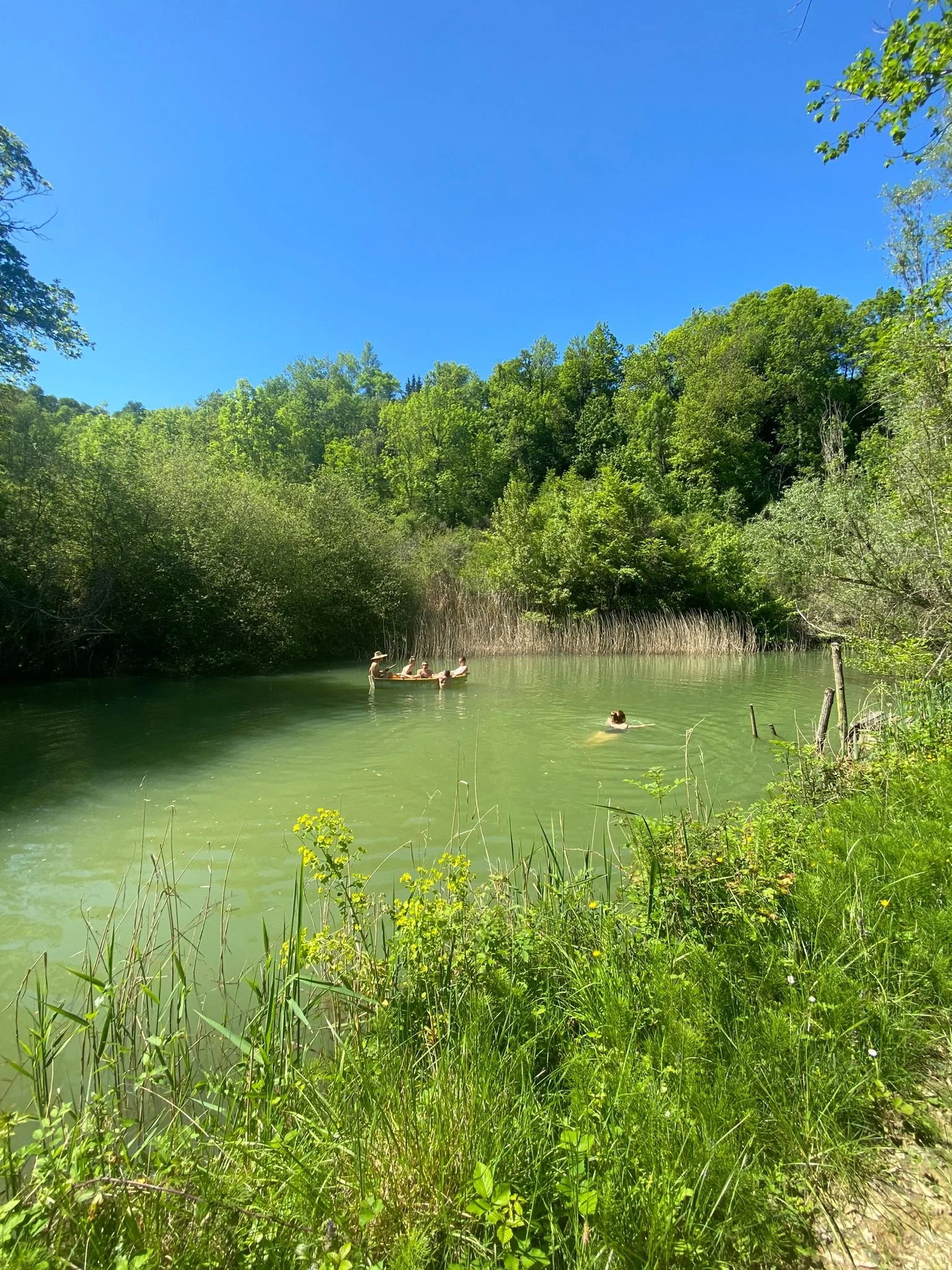 Salle de pratique dans un gîte écologique en Occitanie, conçue pour soutenir la présence et le mouvement. Accueil de retraites yoga, stages bien-être et formations. Location de lieu de stage dans l’Aude, proche Pyrénées et pays cathare.