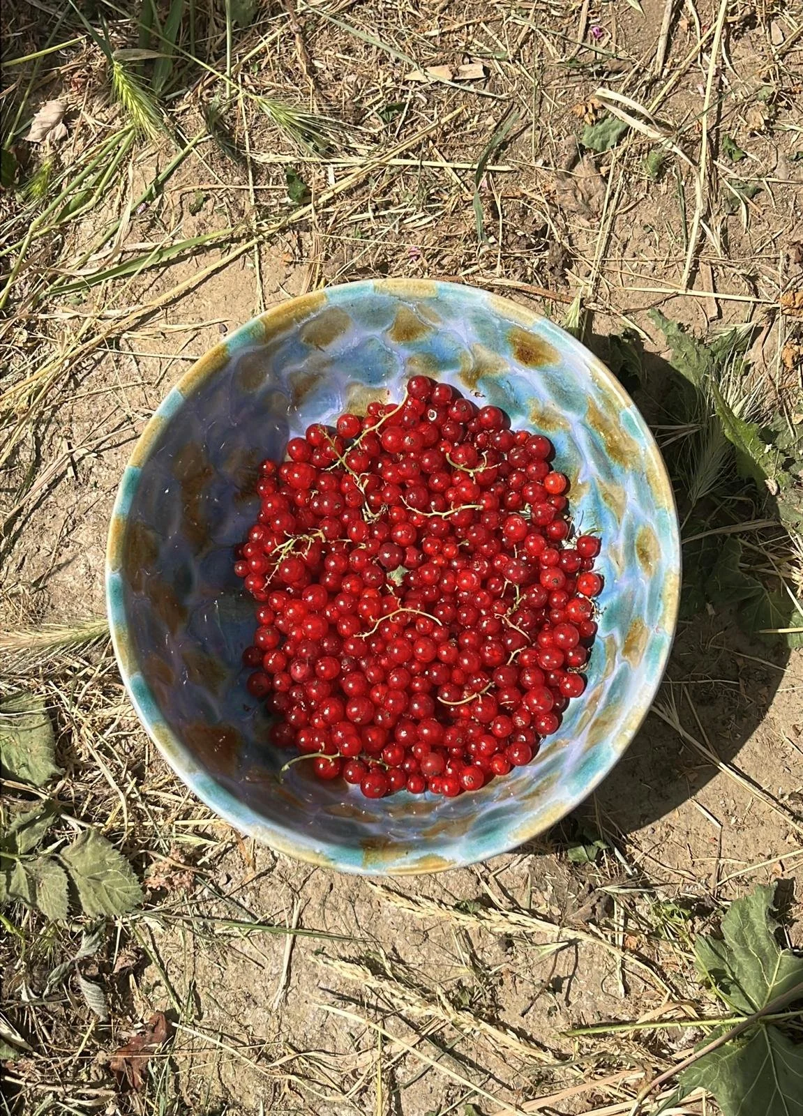 Location de lieu de stage en Occitanie avec salle de pratique ouverte sur la nature. Gîte écologique 15 personnes dans l’Aude, idéal pour retraites yoga, méditation et pratiques corporelles. Matériaux naturels, silence et continuité entre intérieur e